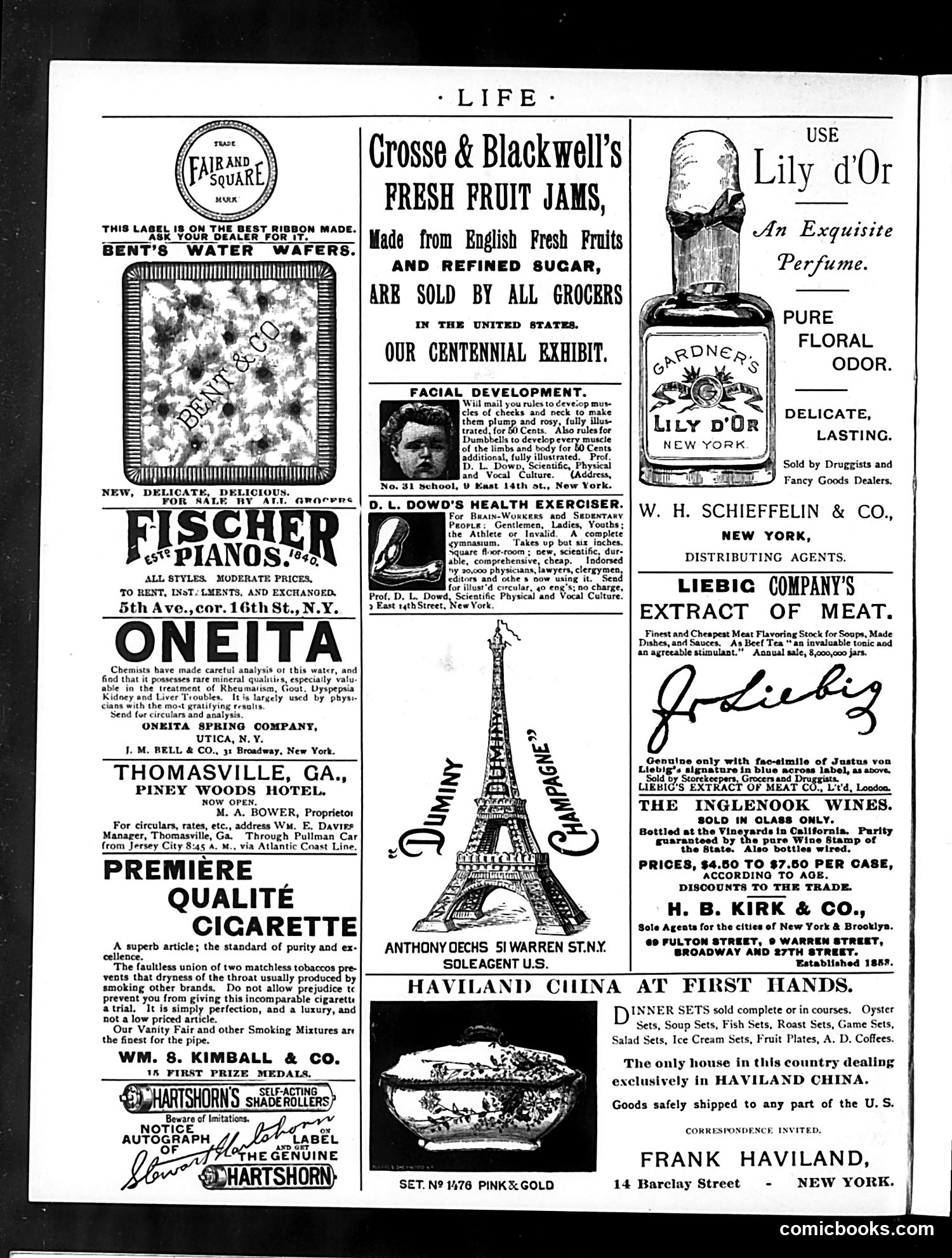 Life — January 16, 1890 — page 2 of 14