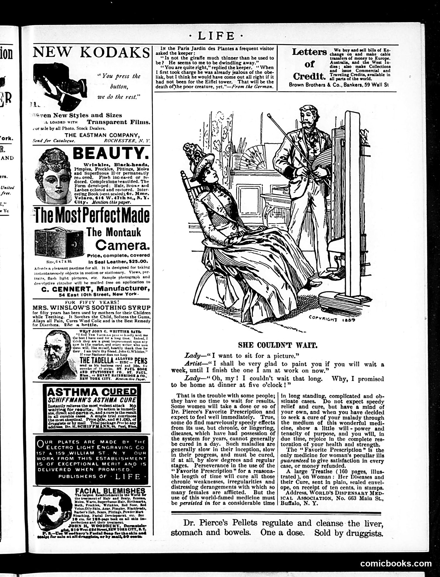 Life — January 23, 1890 — page 17 of 18