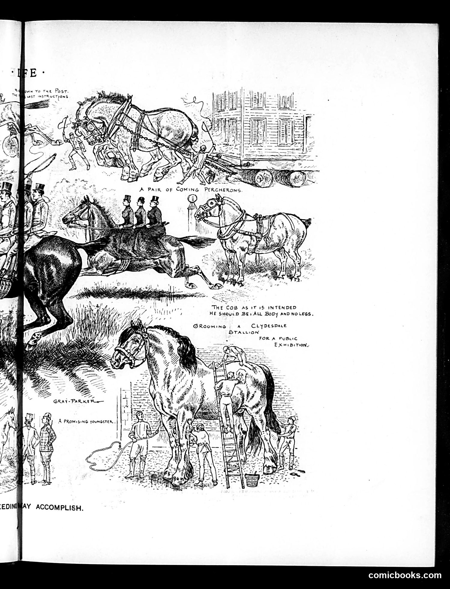 Life — March 13, 1890 — page 11 of 20