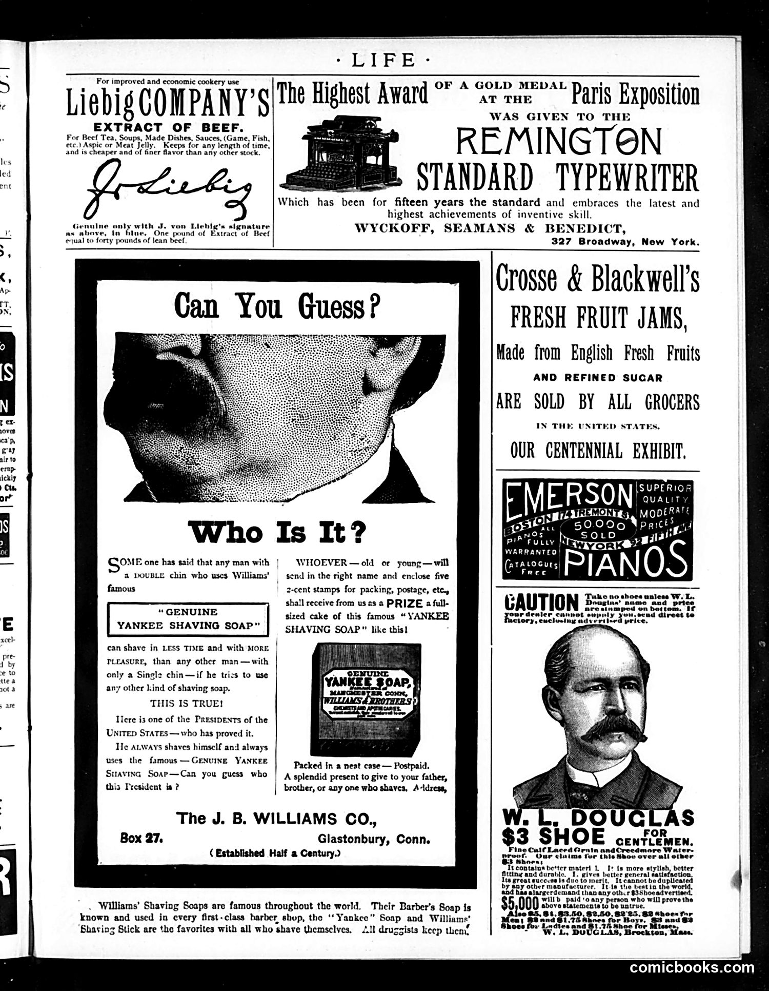 Life — April 10, 1890 — page 17 of 18