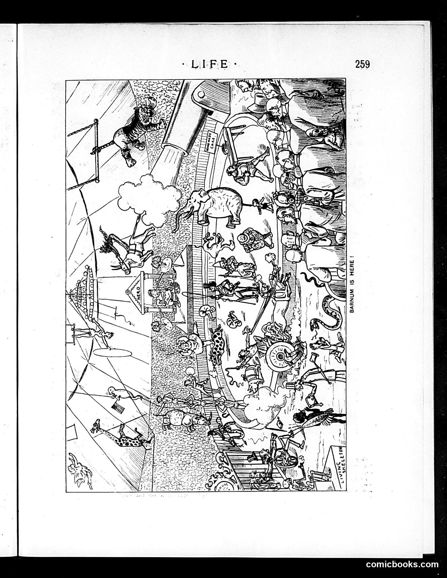 Life — May 1, 1890 — page 11 of 18