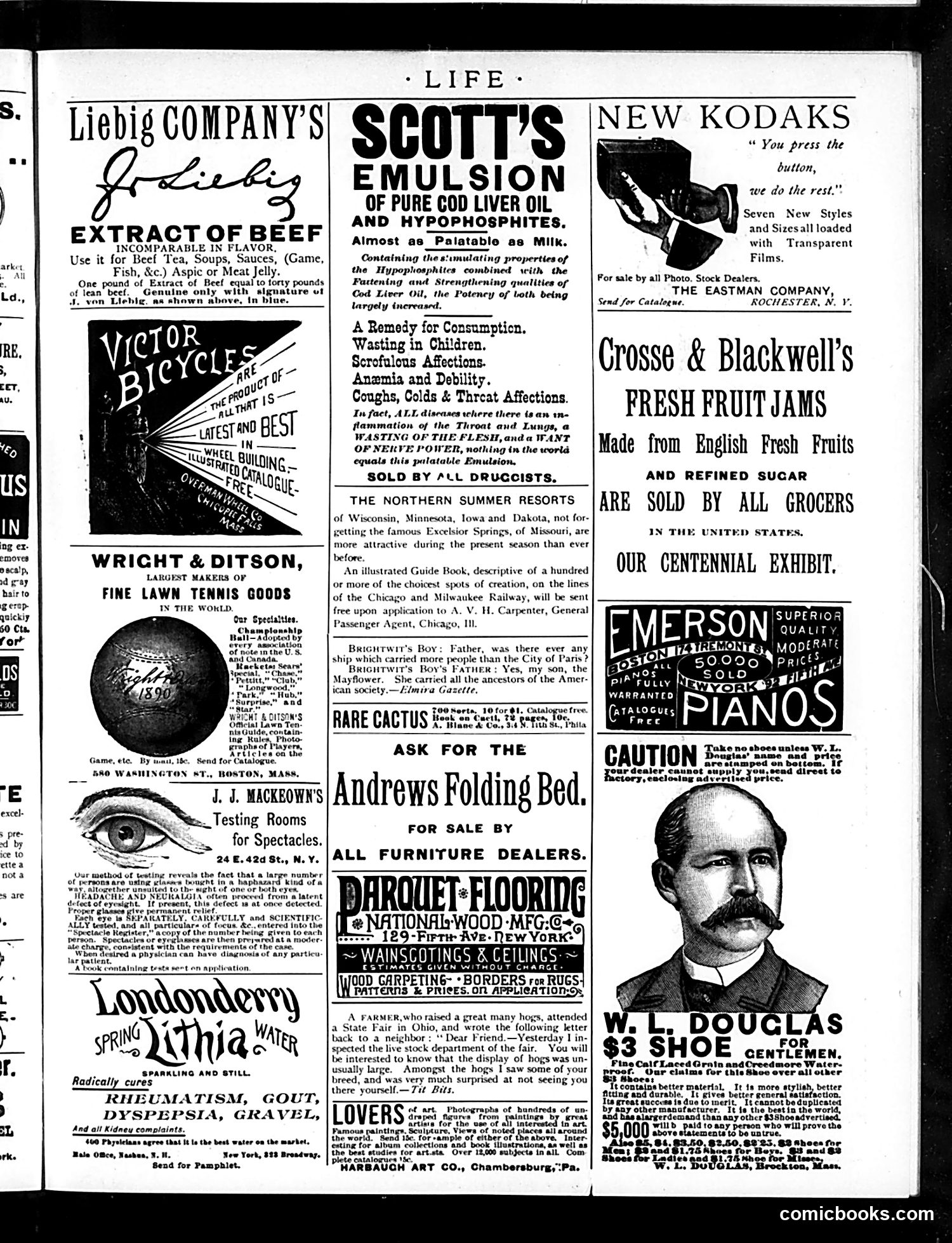 Life — May 8, 1890 — page 17 of 18