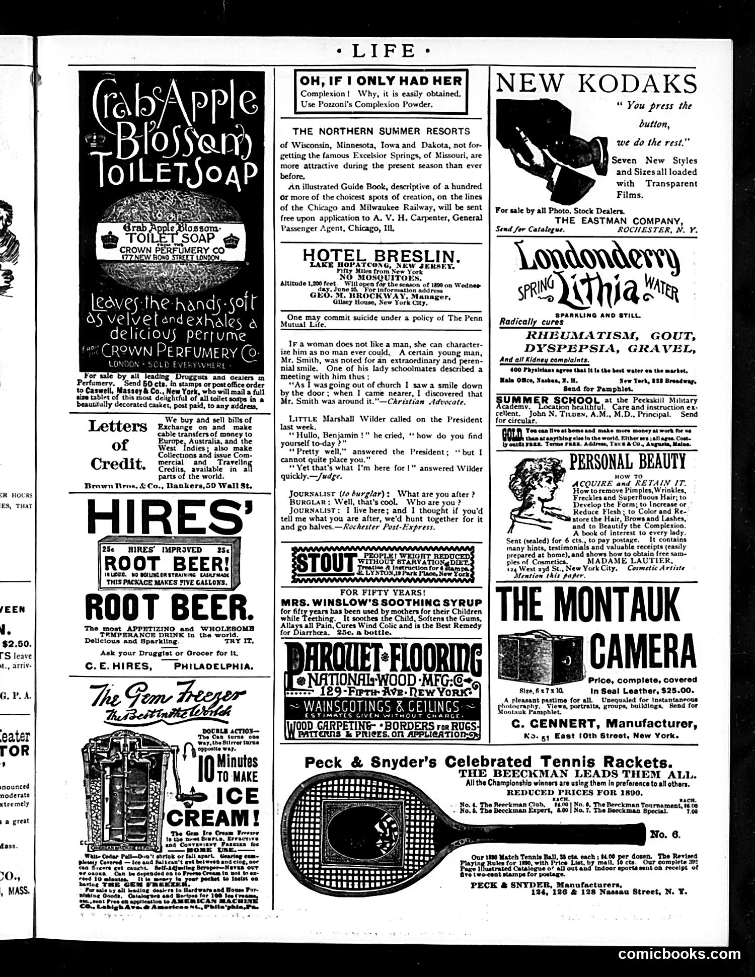 Life — May 29, 1890 — page 17 of 18