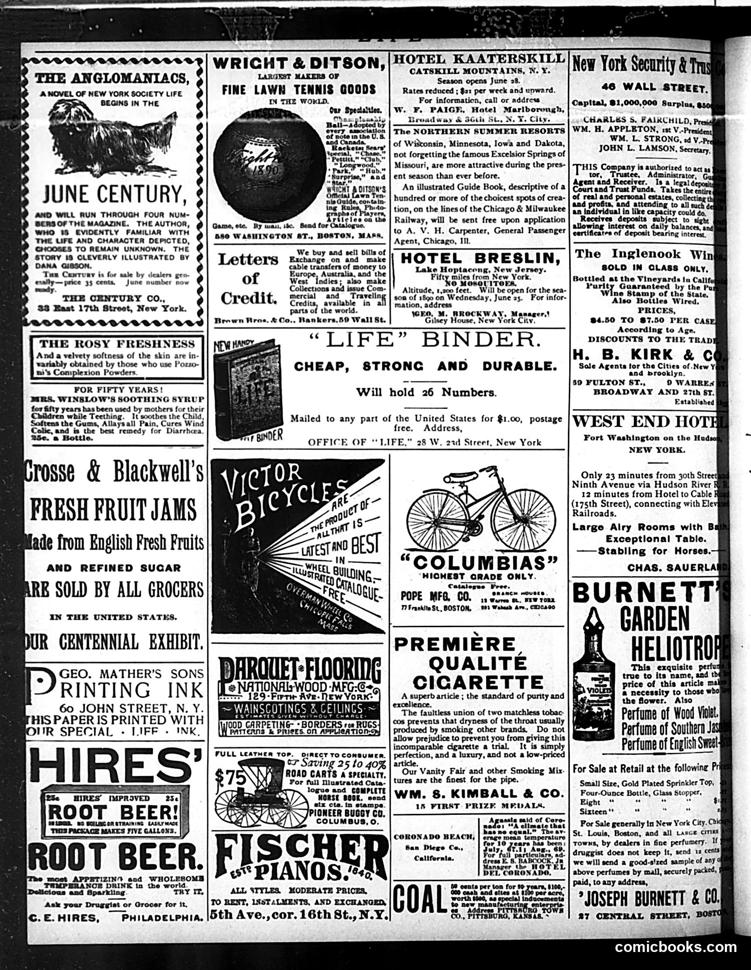 Life — June 12, 1890 — page 6 of 20