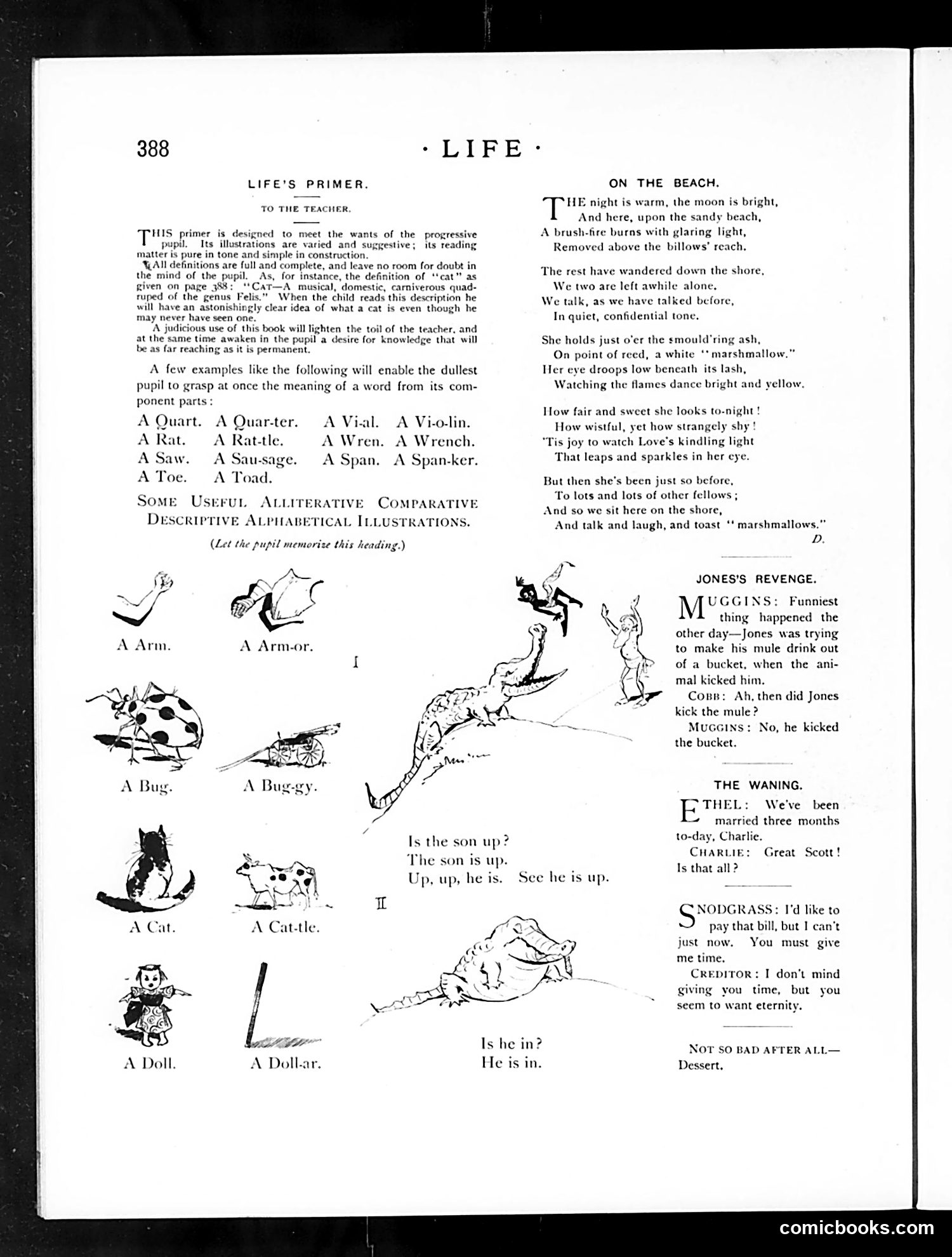 Life — July 3, 1890 — page 12 of 16