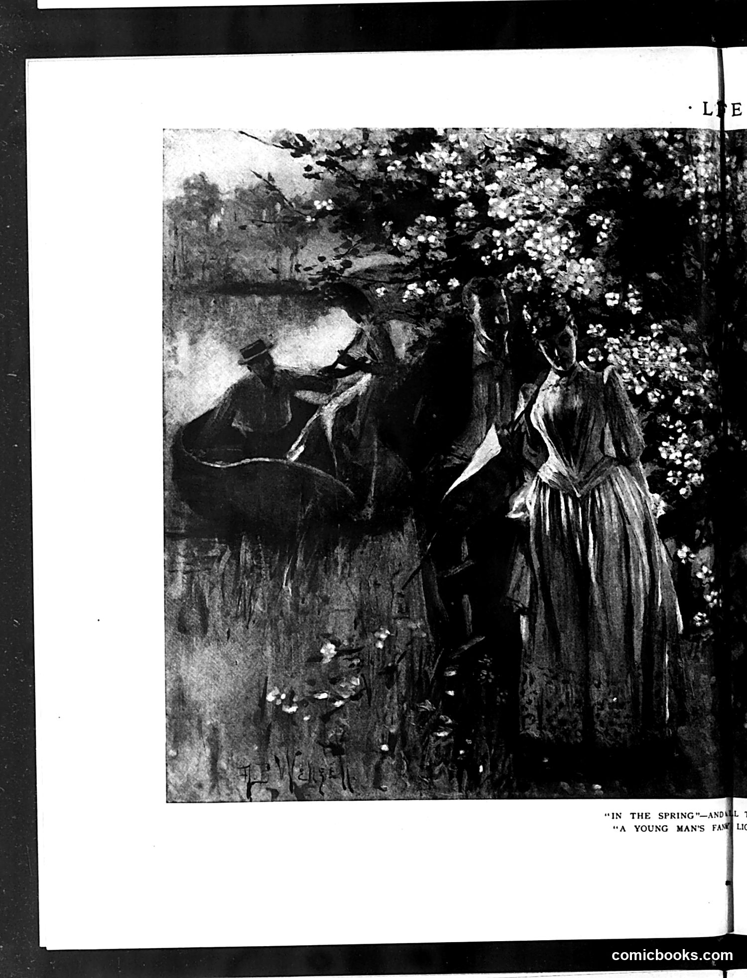 Life — July 10, 1890 — page 8 of 14