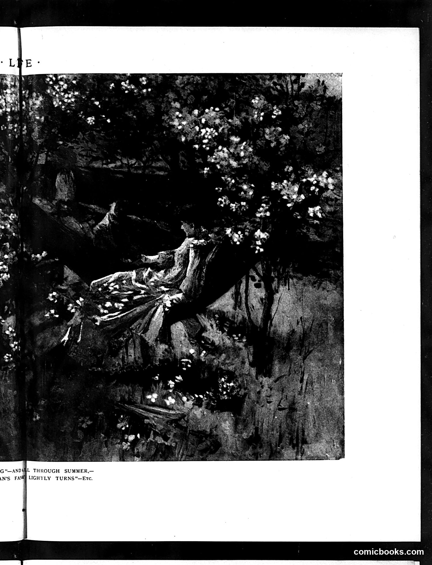 Life — July 10, 1890 — page 9 of 14