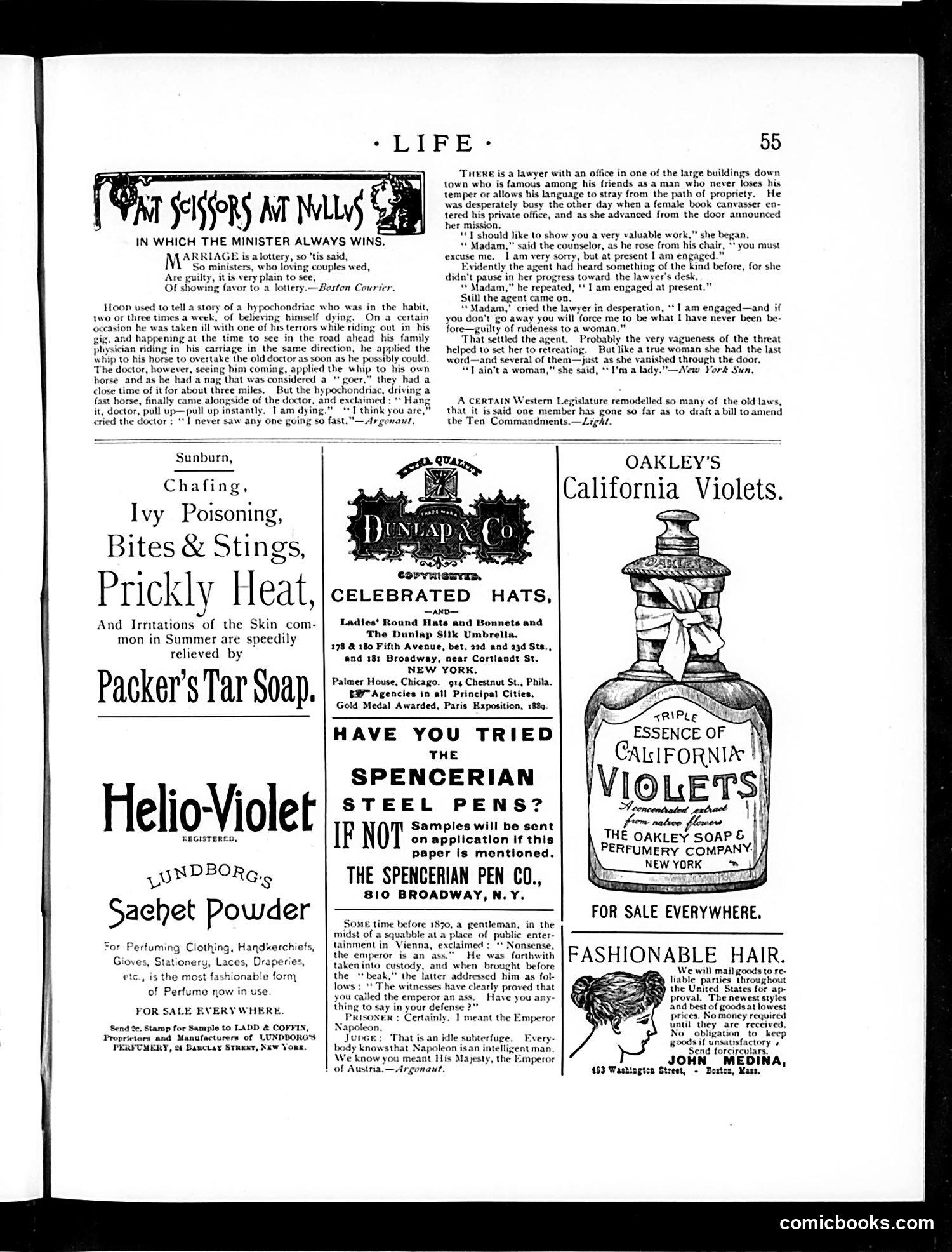 Life — July 31, 1890 — page 13 of 16