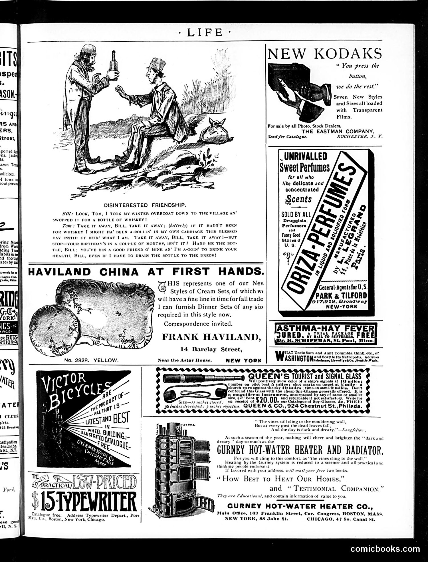 Life — July 31, 1890 — page 15 of 16
