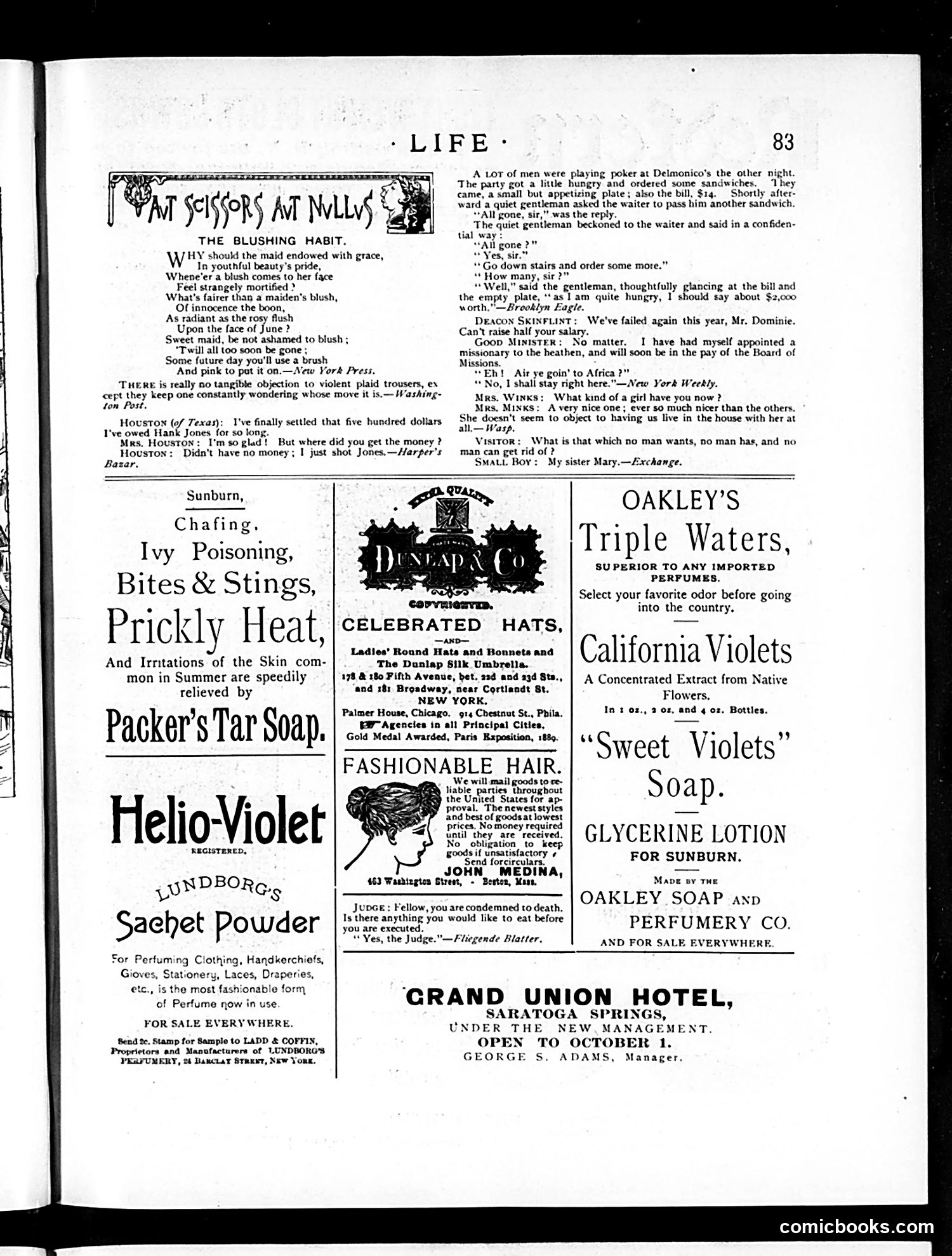 Life — August 14, 1890 — page 13 of 14