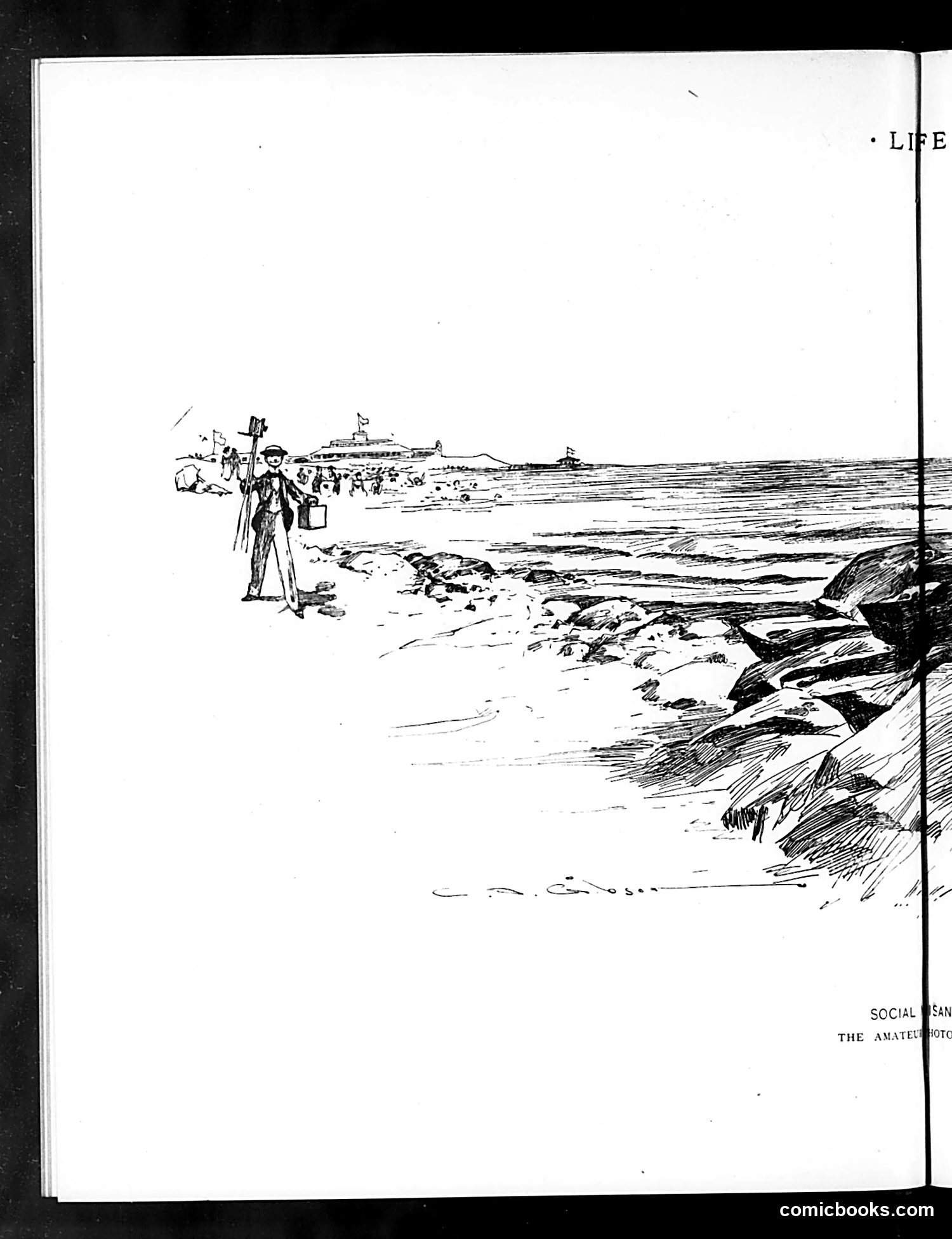 Life — August 21, 1890 — page 8 of 16