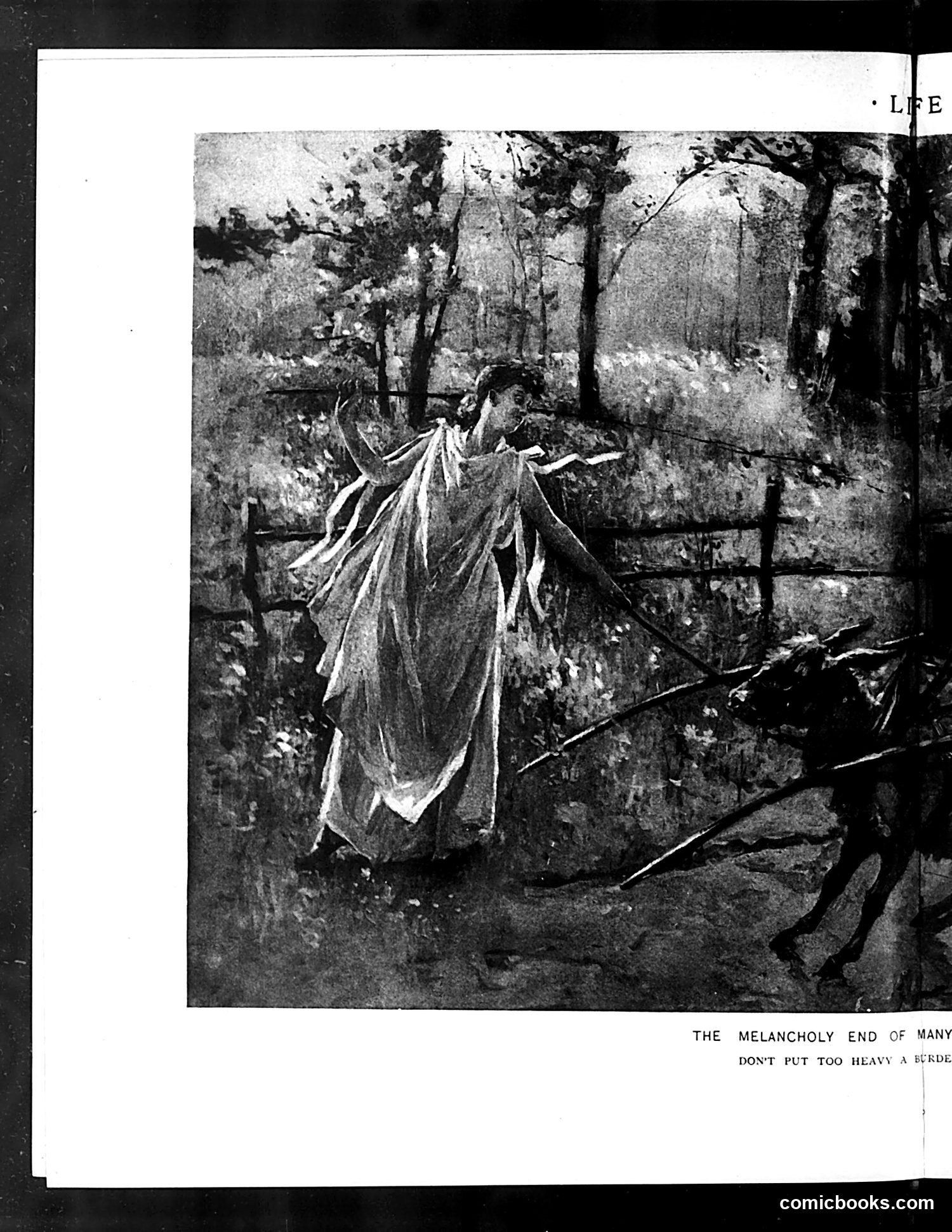 Life — September 25, 1890 — page 8 of 14