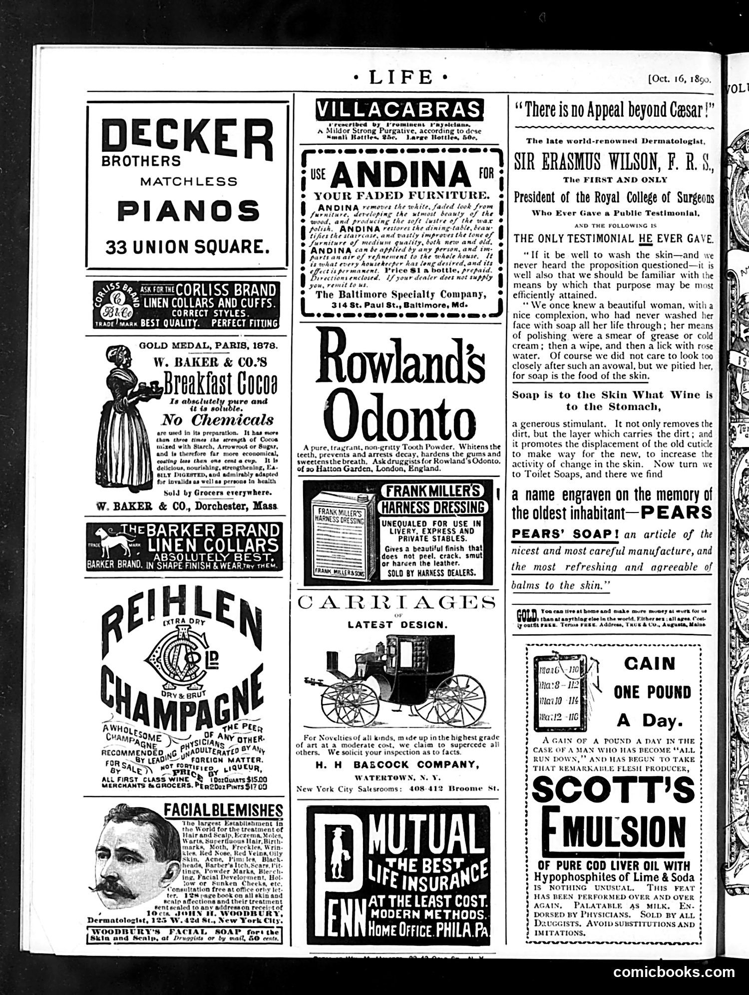 Life — October 16, 1890 — page 18 of 18