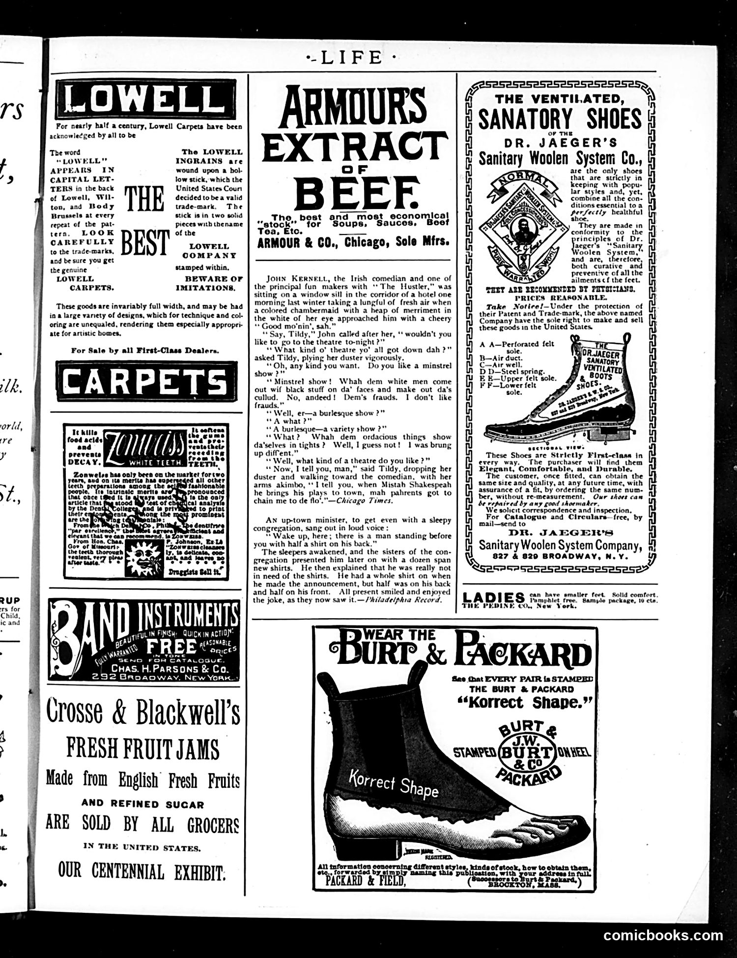 Life — November 13, 1890 — page 19 of 20