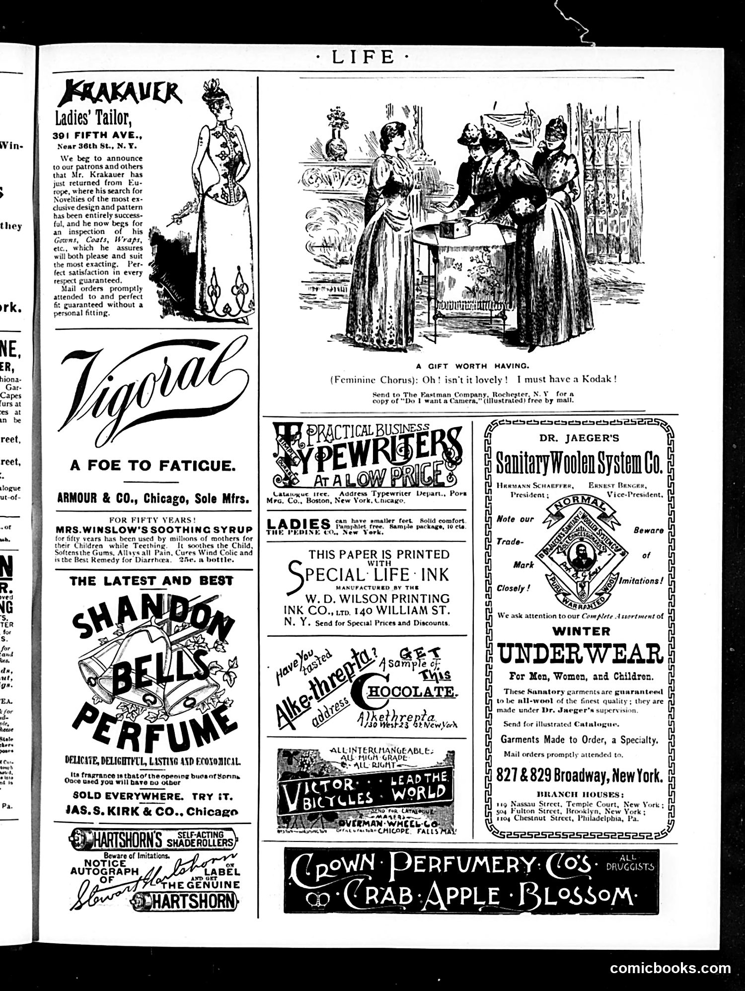 Life — November 20, 1890 — page 23 of 24