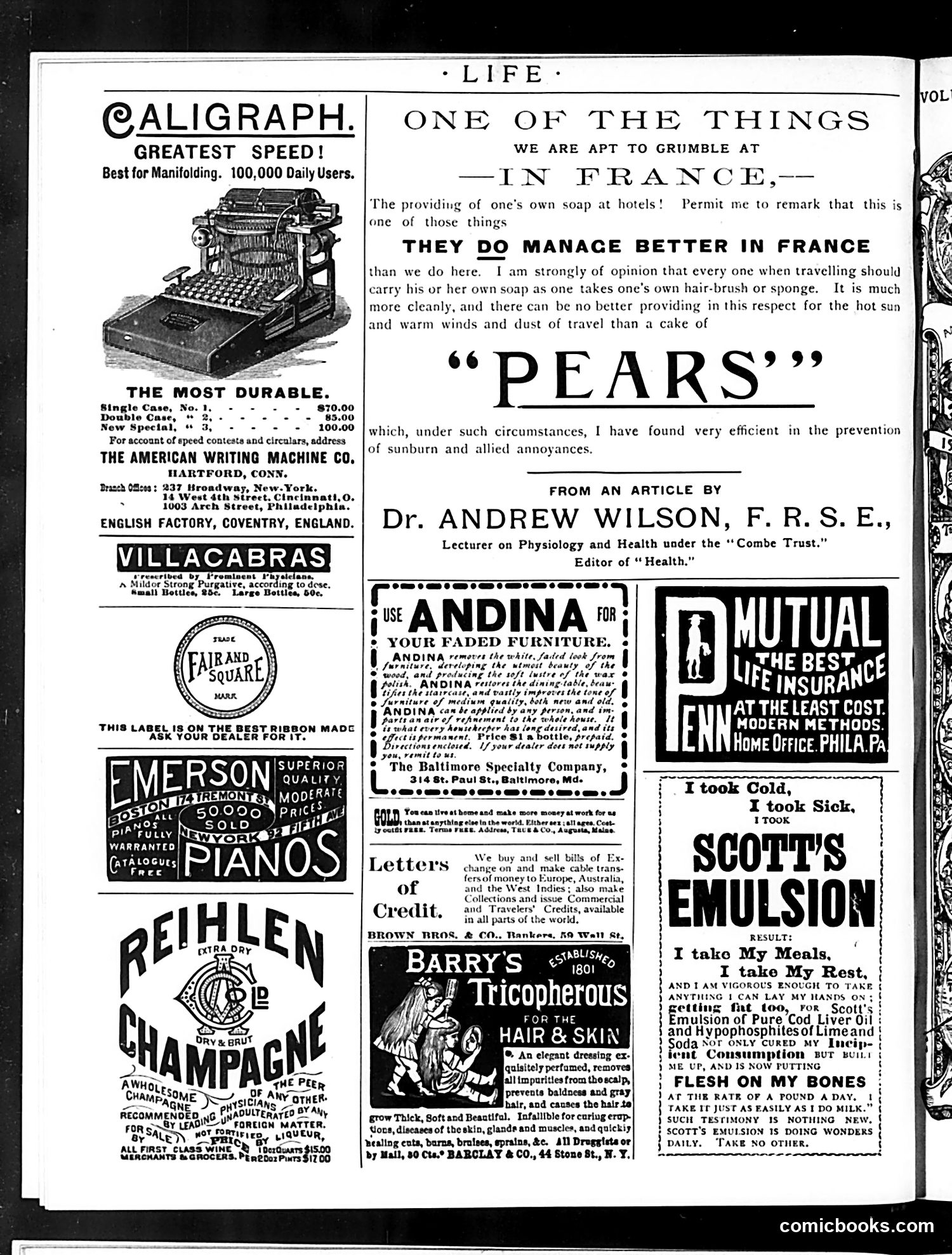 Life — November 20, 1890 — page 24 of 24