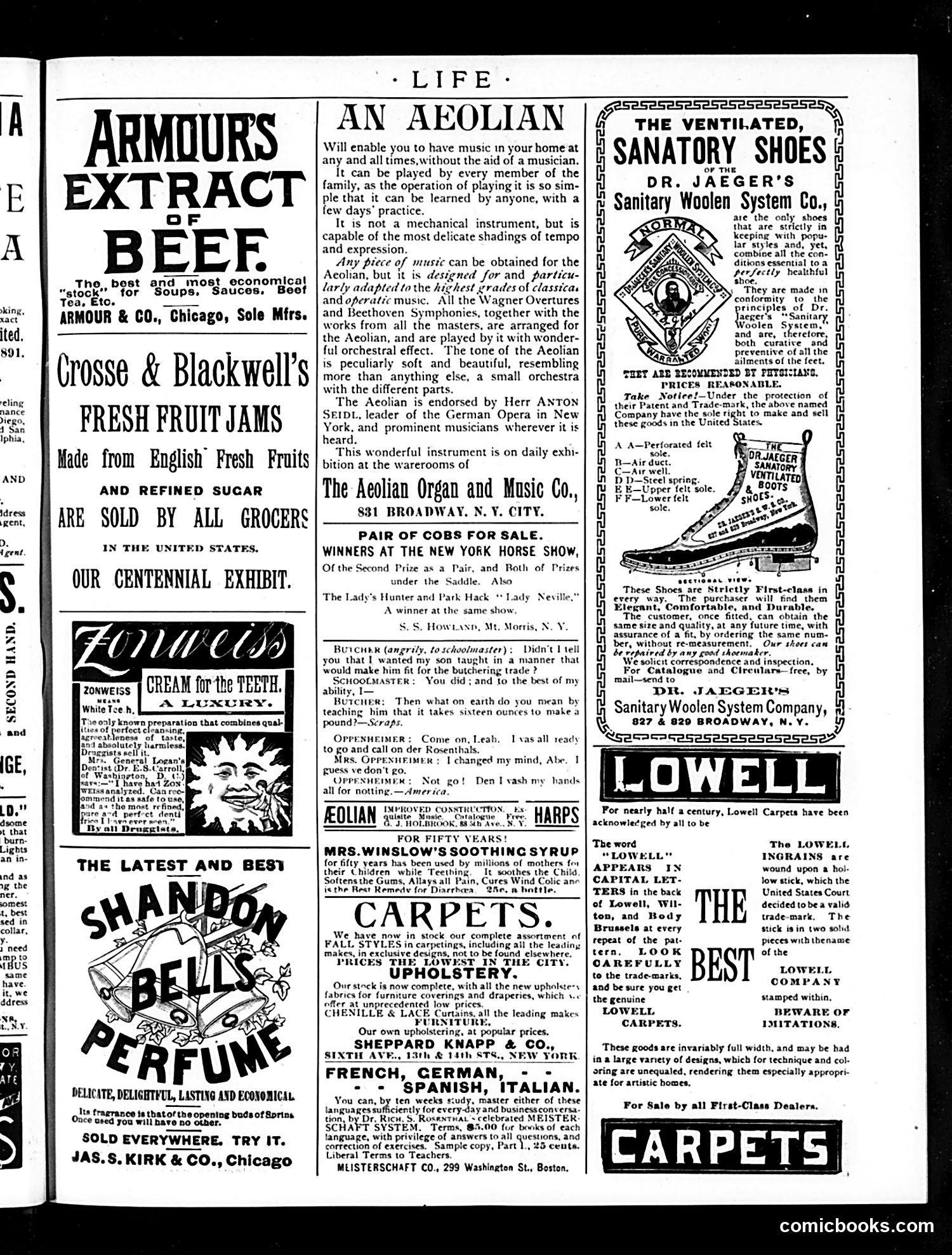Life — November 27, 1890 — page 19 of 20