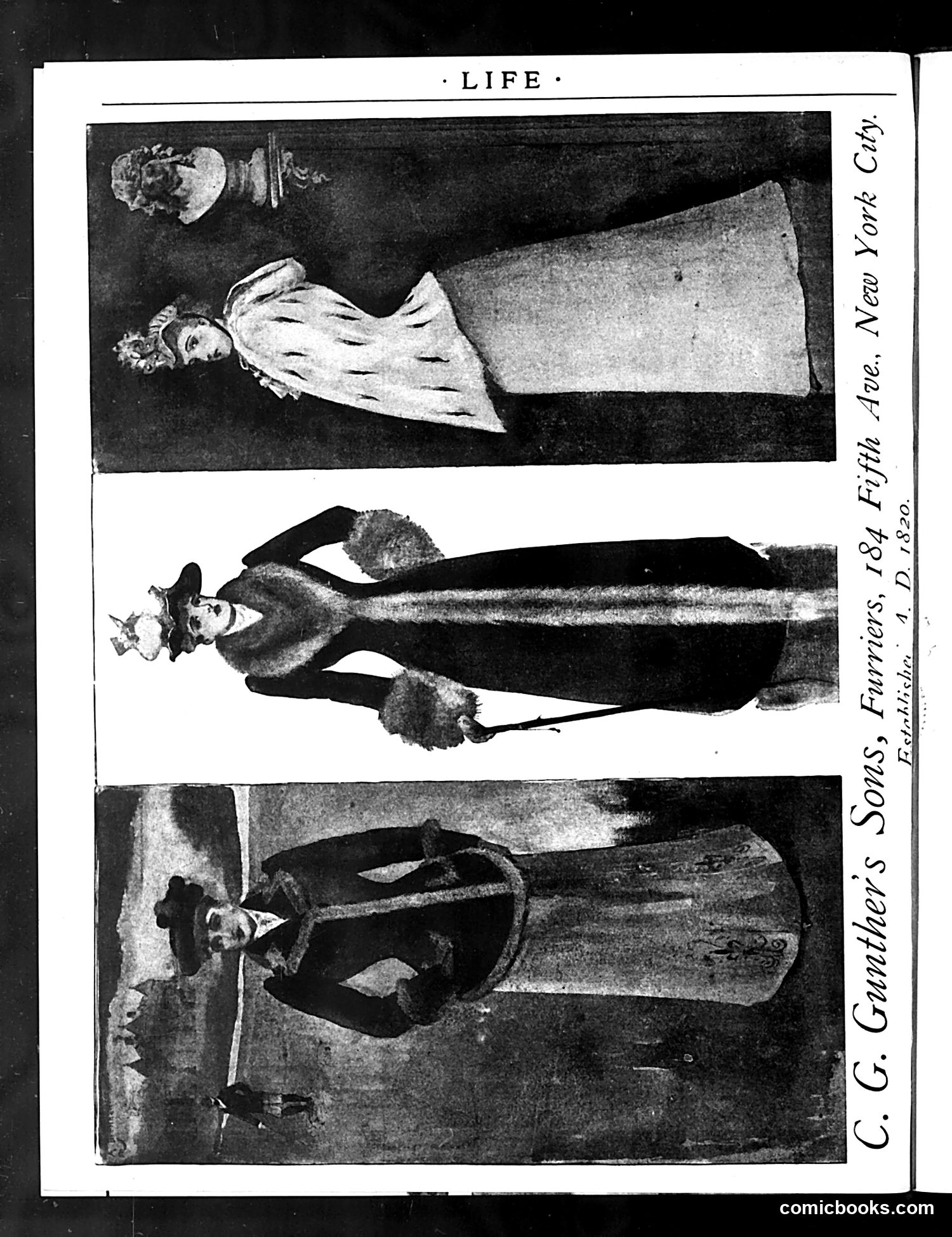 Life — December 25, 1890 — page 20 of 51