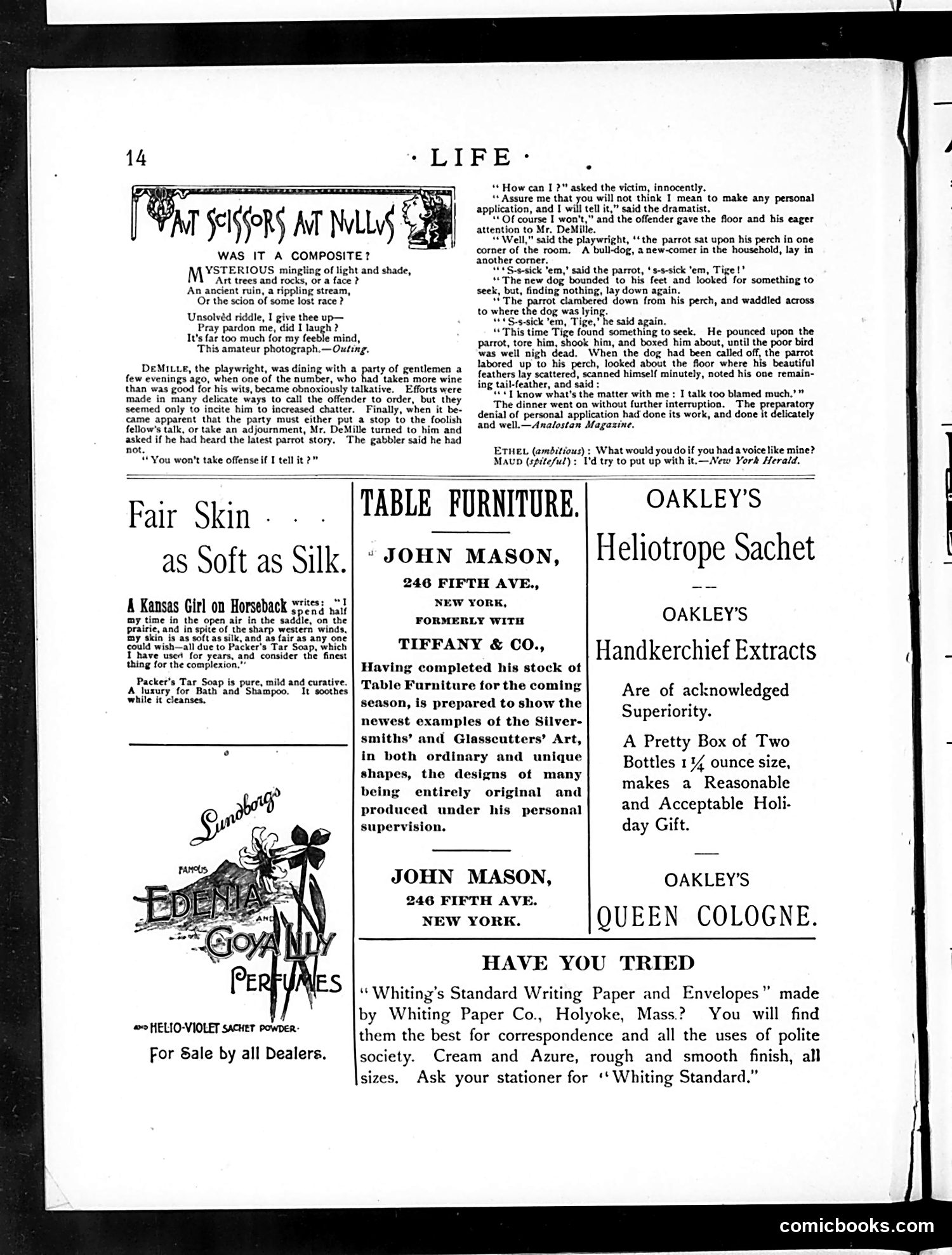 Life — January 1, 1891 — page 14 of 18