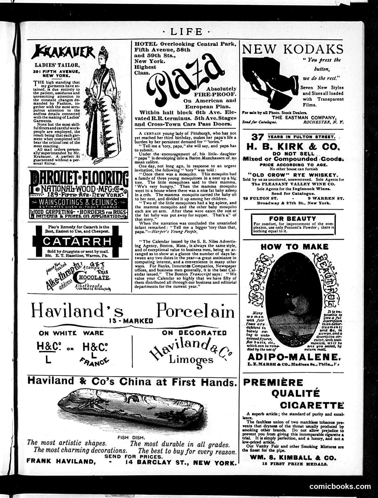 Life — January 1, 1891 — page 15 of 18
