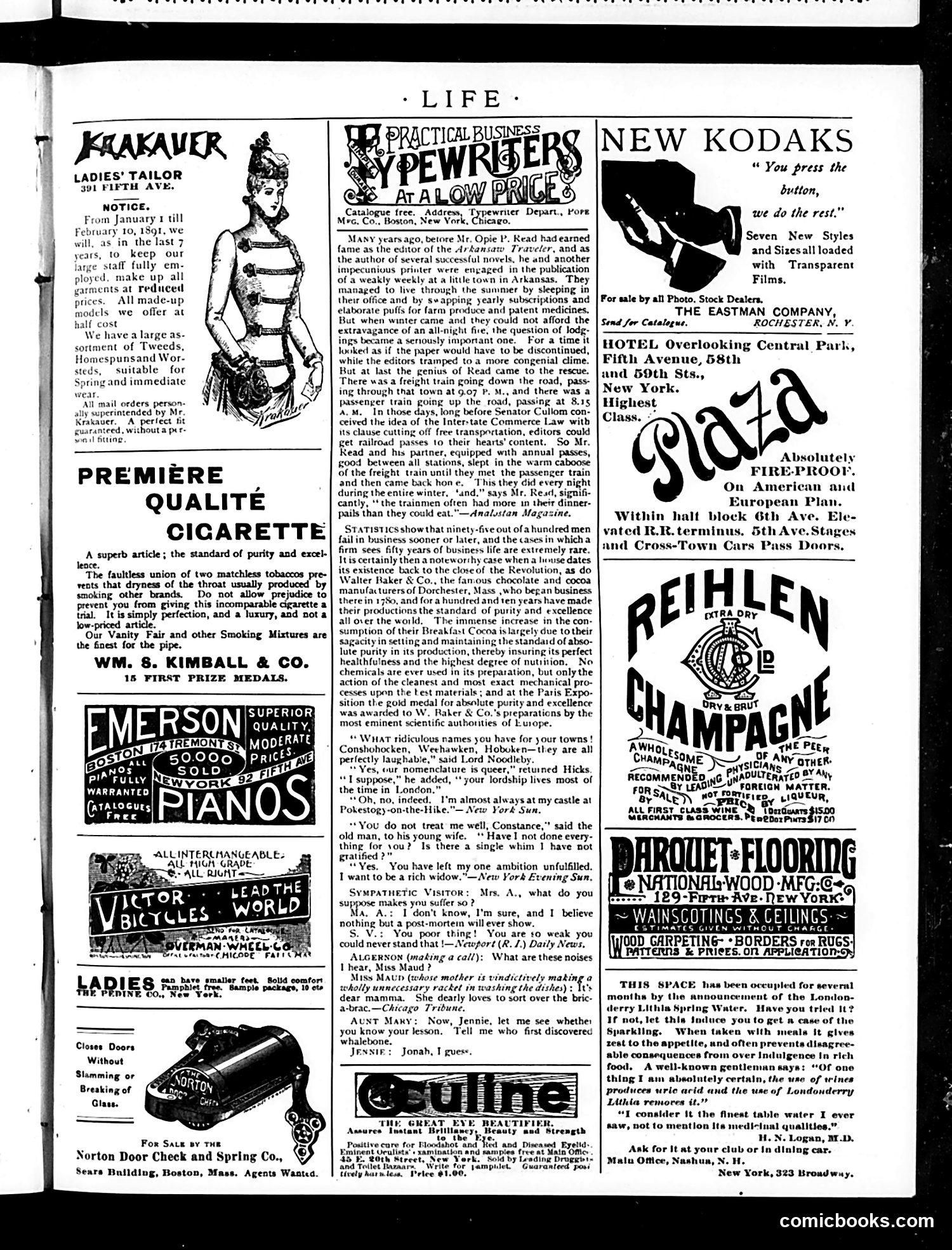 Life — January 8, 1891 — page 17 of 20
