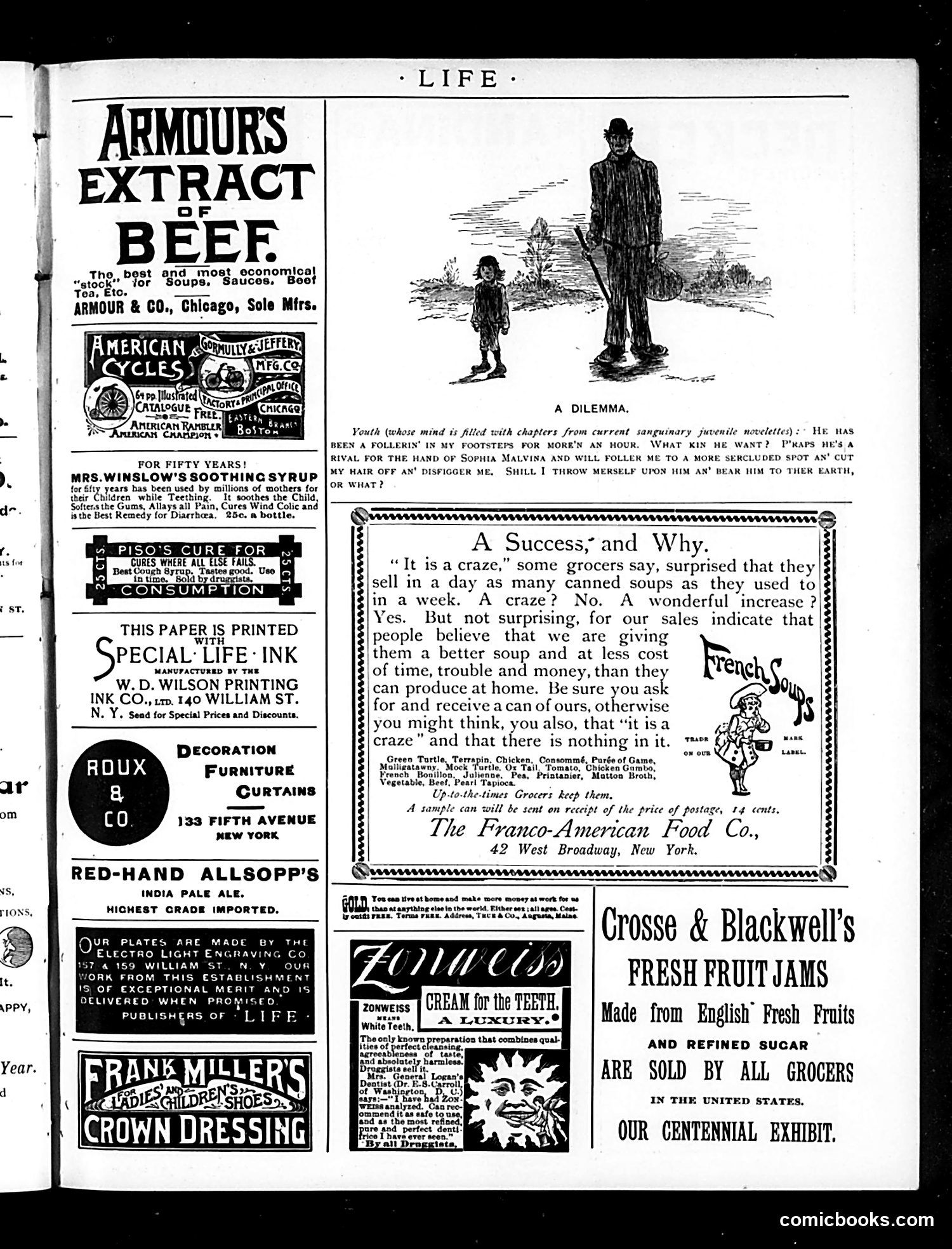 Life — January 8, 1891 — page 19 of 20