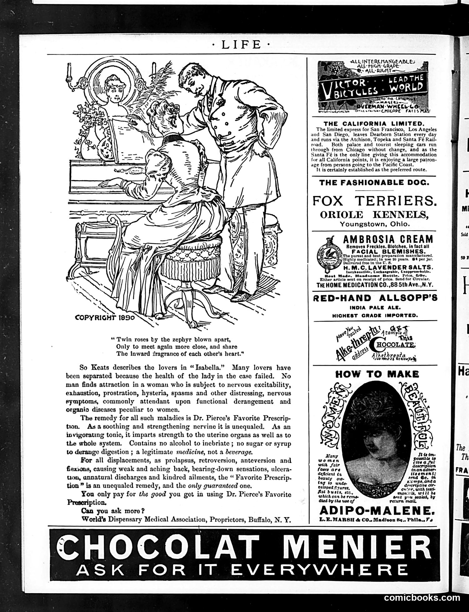 Life — January 15, 1891 — page 16 of 18