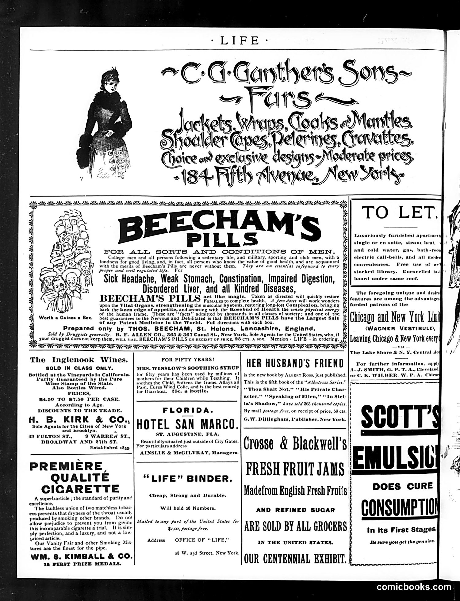 Life — January 29, 1891 — page 2 of 14