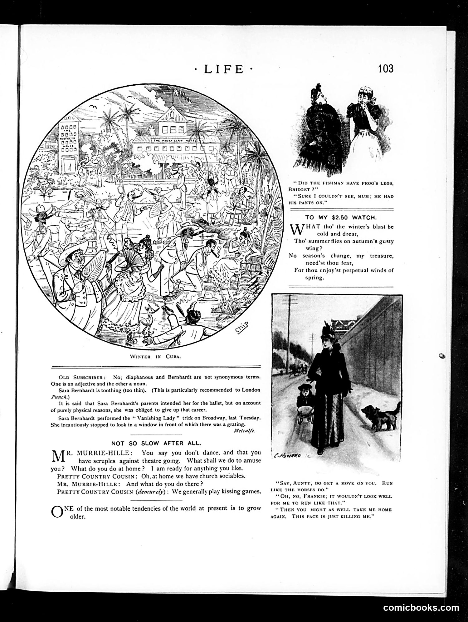 Life — February 12, 1891 — page 13 of 14
