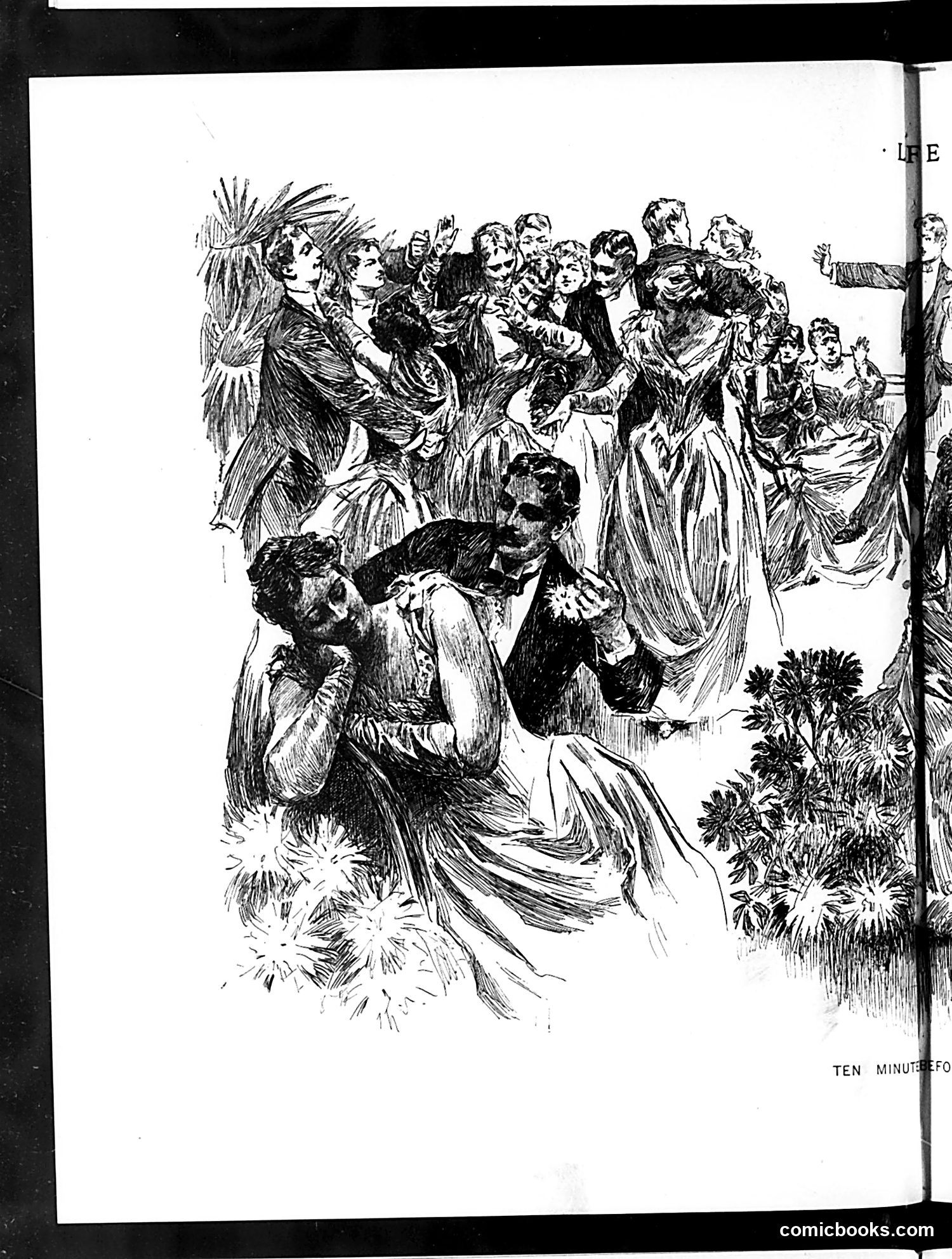 Life — February 19, 1891 — page 8 of 14