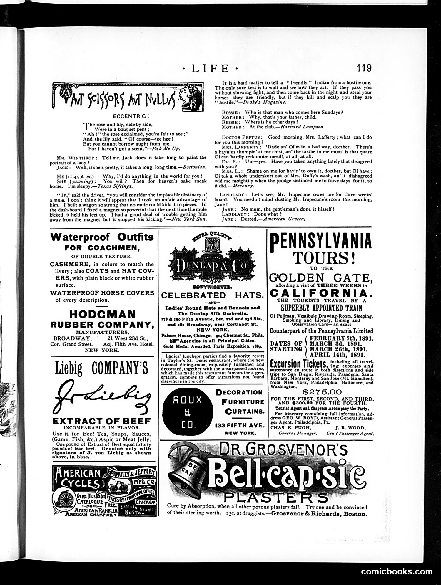 Life — February 19, 1891 — page 13 of 14