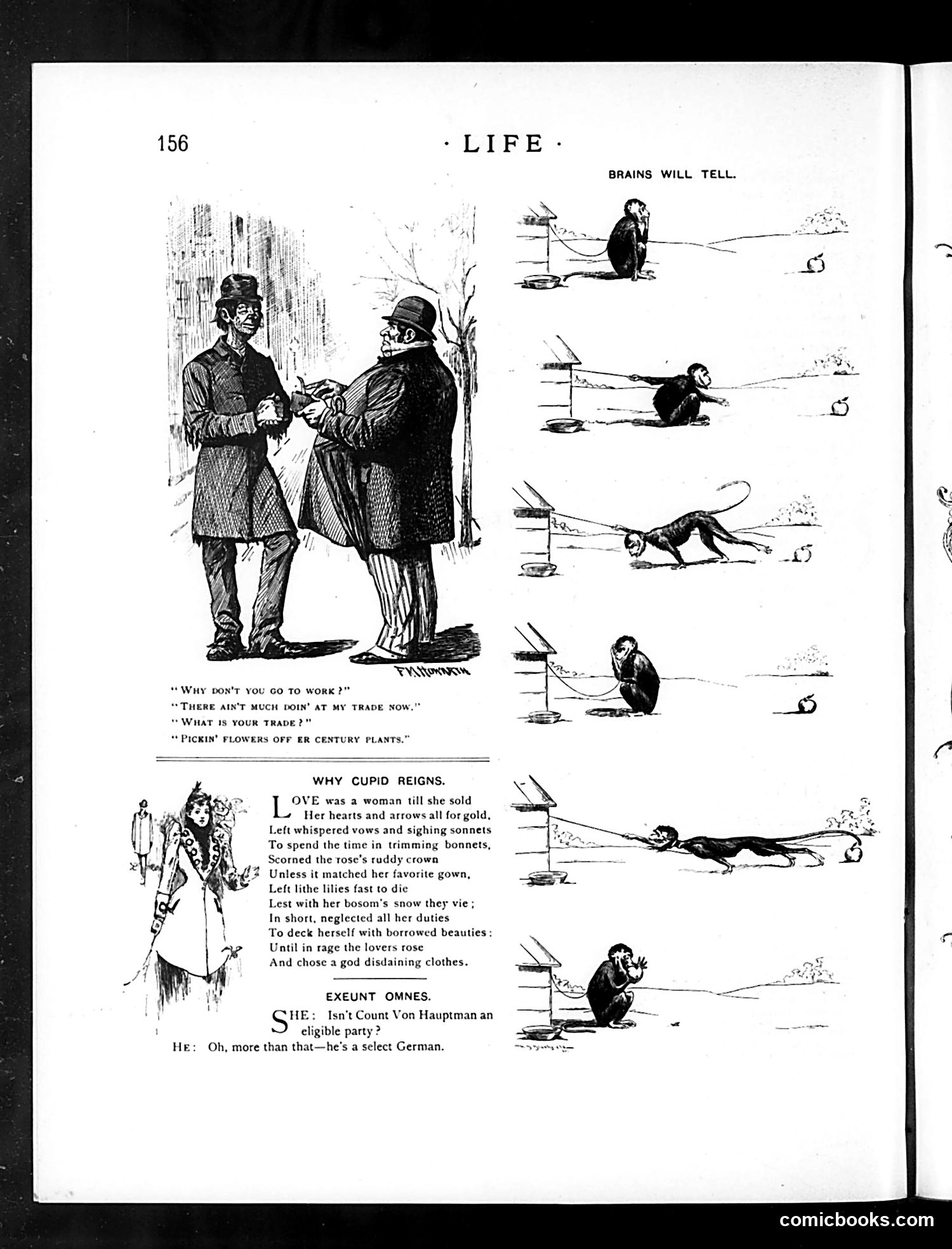 Life — March 12, 1891 — page 8 of 14