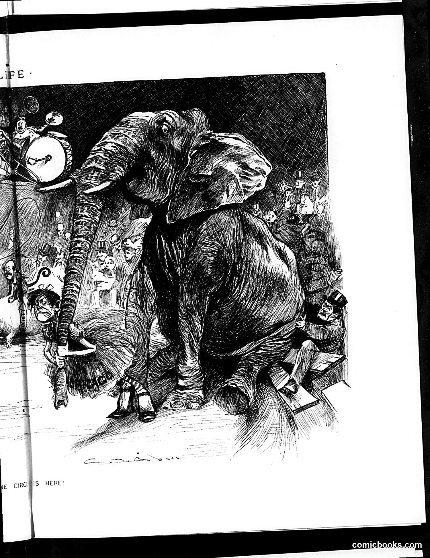 Life — April 2, 1891 — page 9 of 14