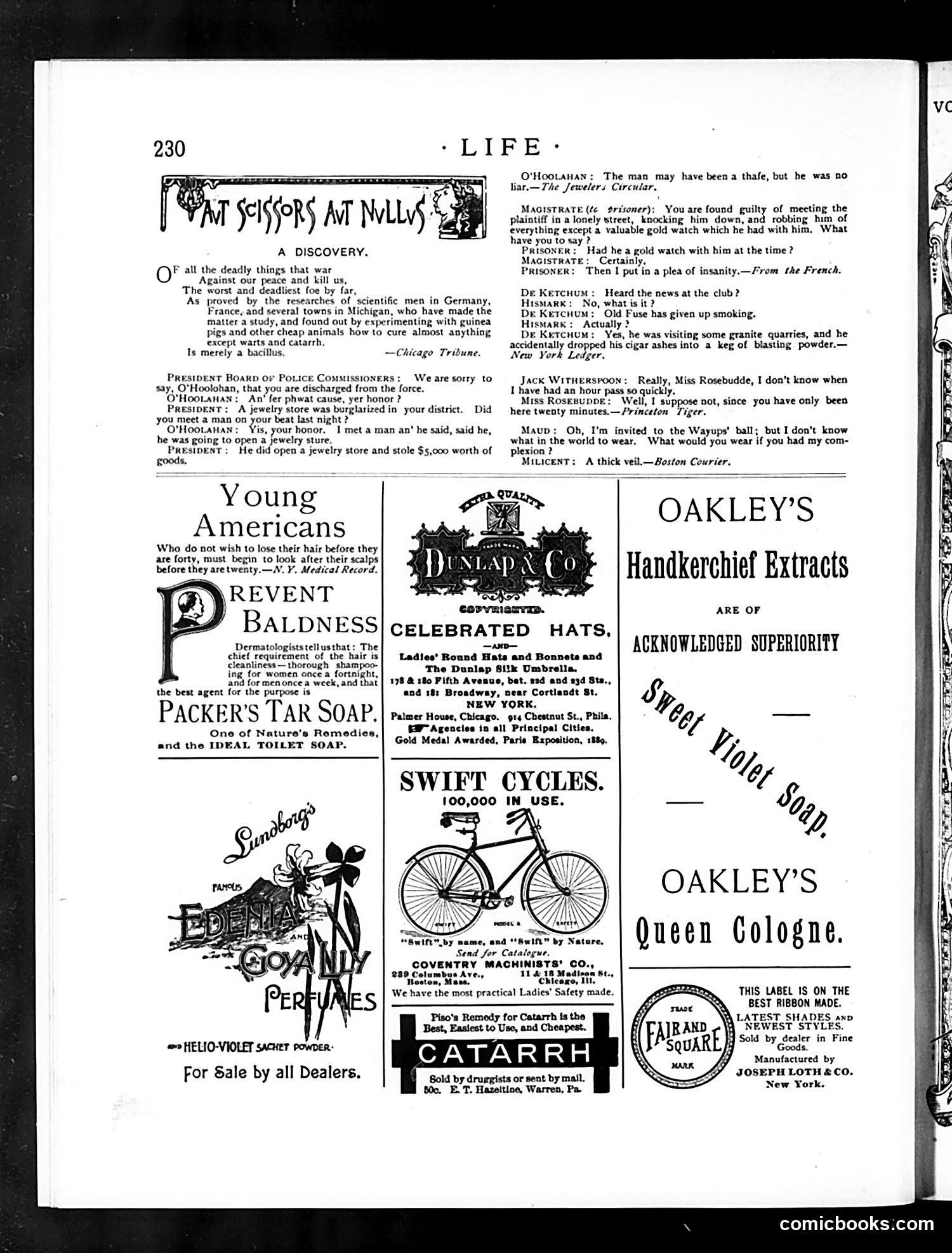 Life — April 9, 1891 — page 14 of 14