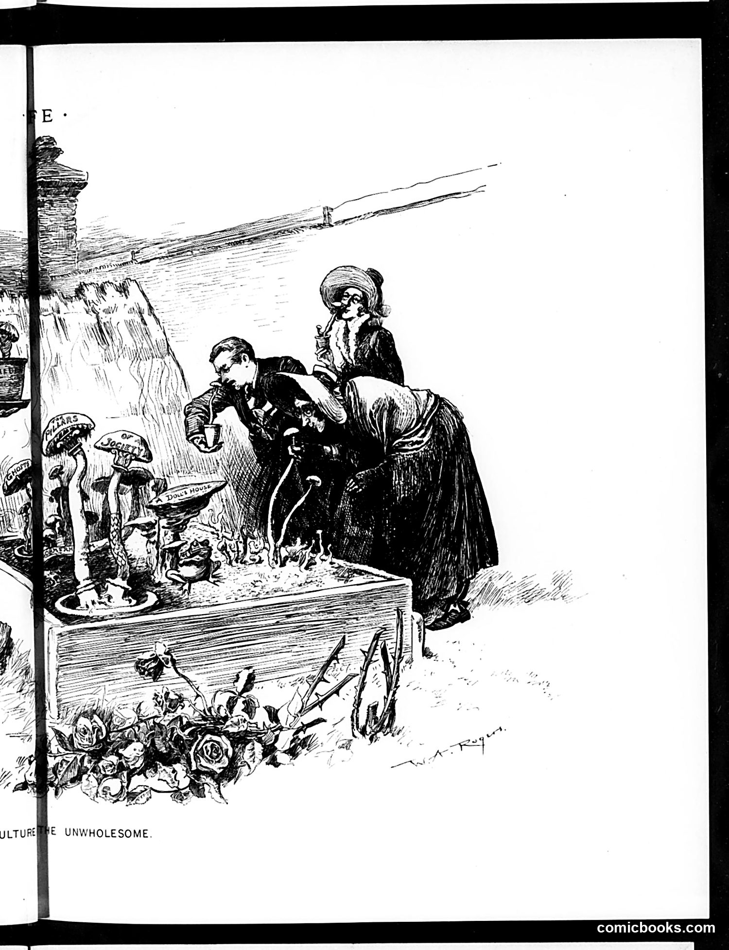 Life — May 7, 1891 — page 11 of 14