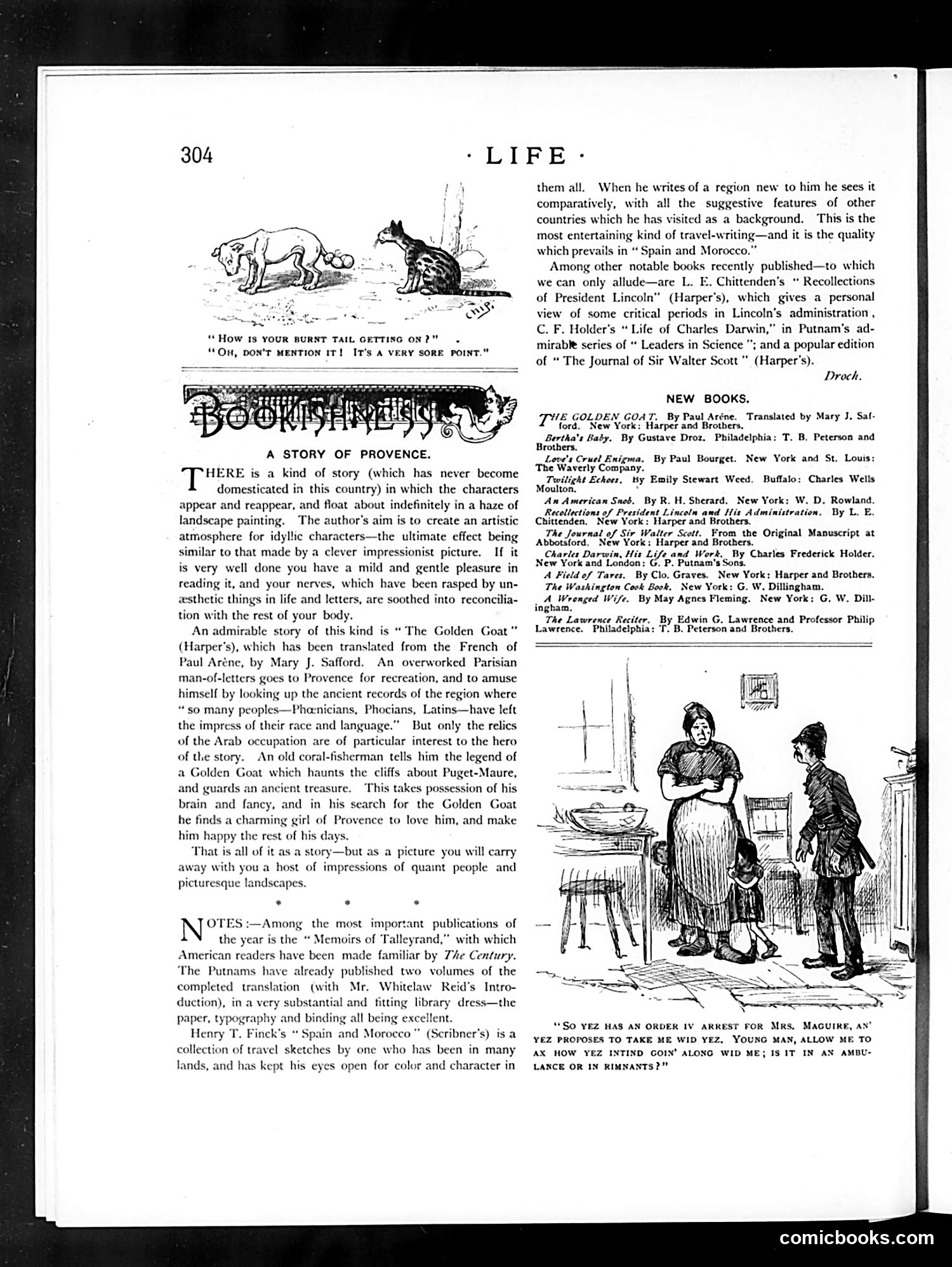 Life — May 14, 1891 — page 8 of 14