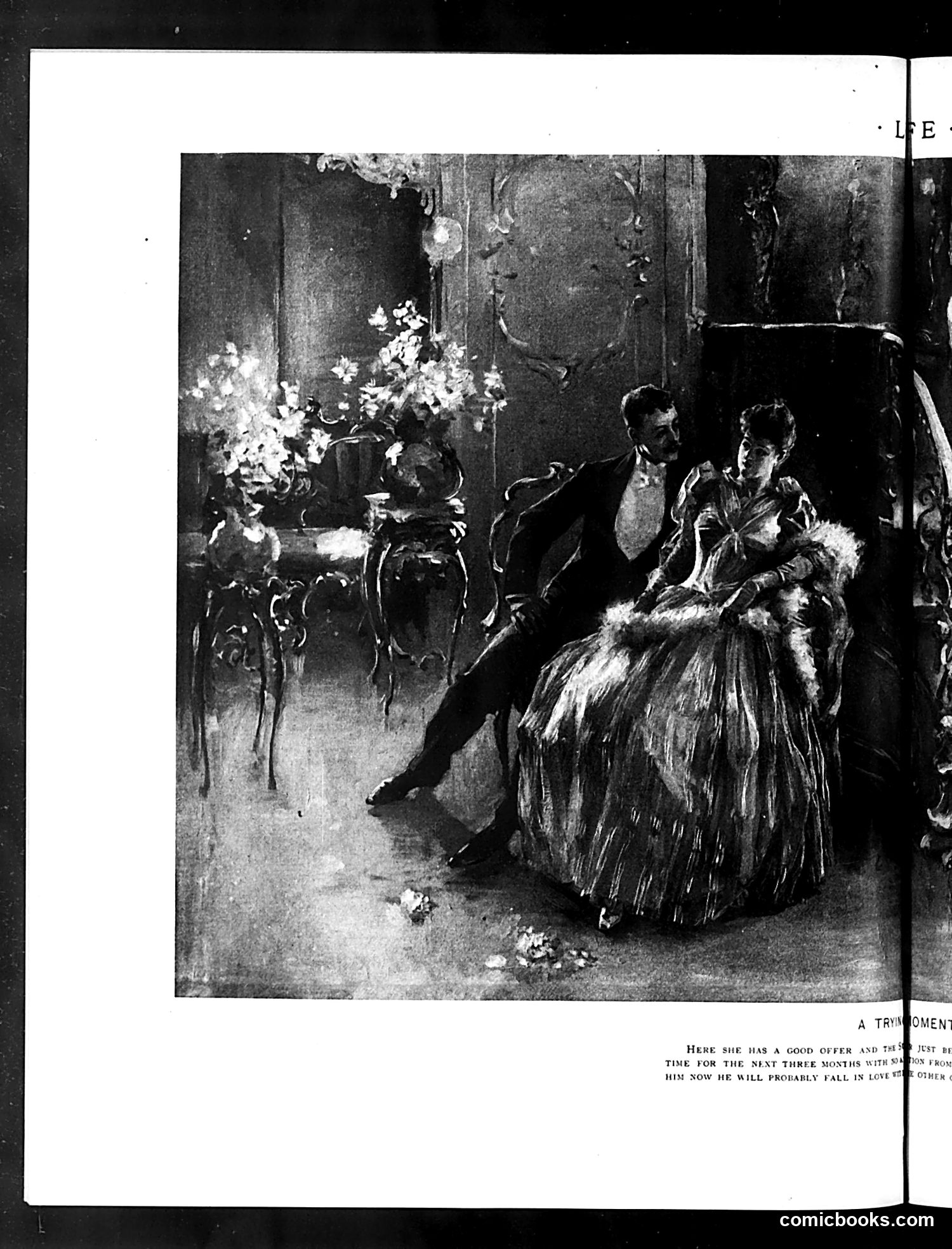 Life — May 28, 1891 — page 12 of 18