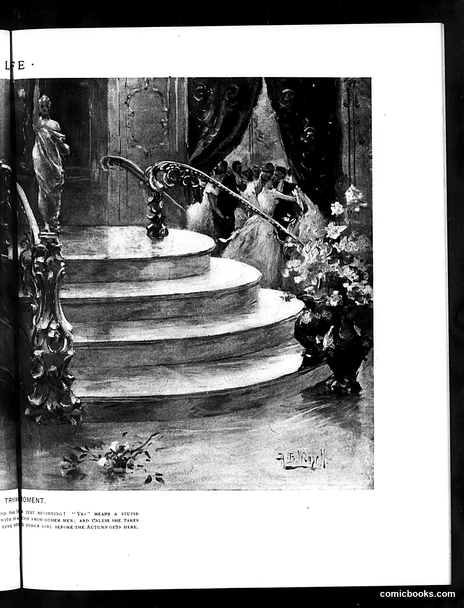 Life — May 28, 1891 — page 13 of 18