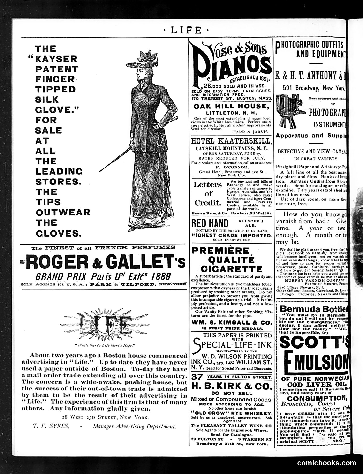 Life — June 4, 1891 — page 2 of 16