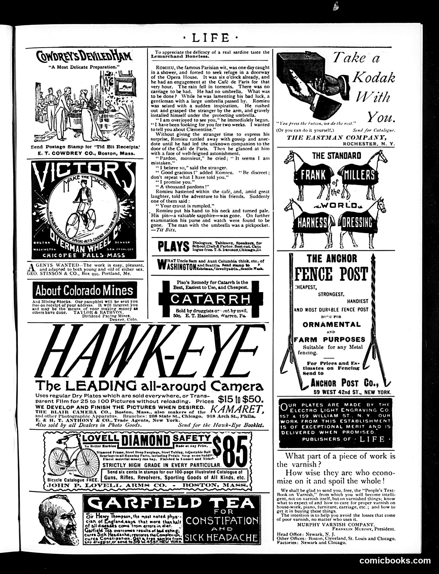 Life — June 4, 1891 — page 15 of 16