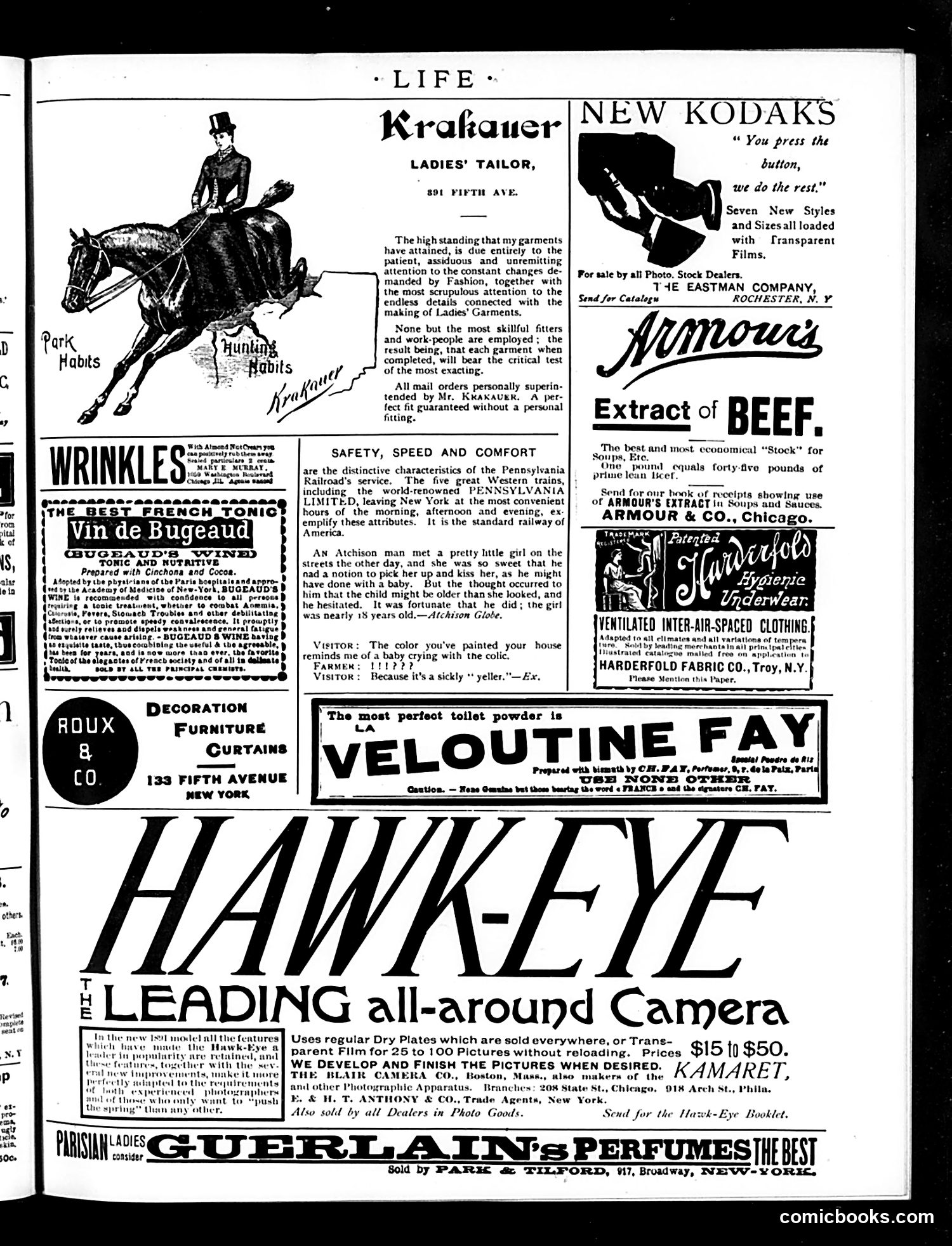 Life — June 11, 1891 — page 17 of 18