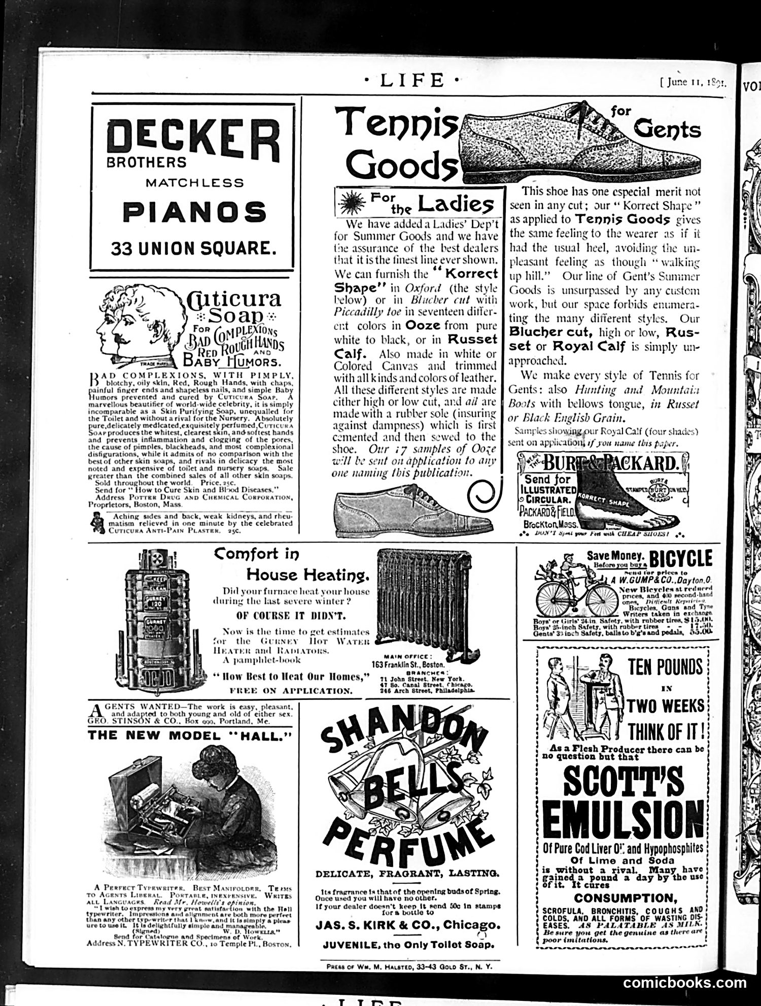 Life — June 11, 1891 — page 18 of 18