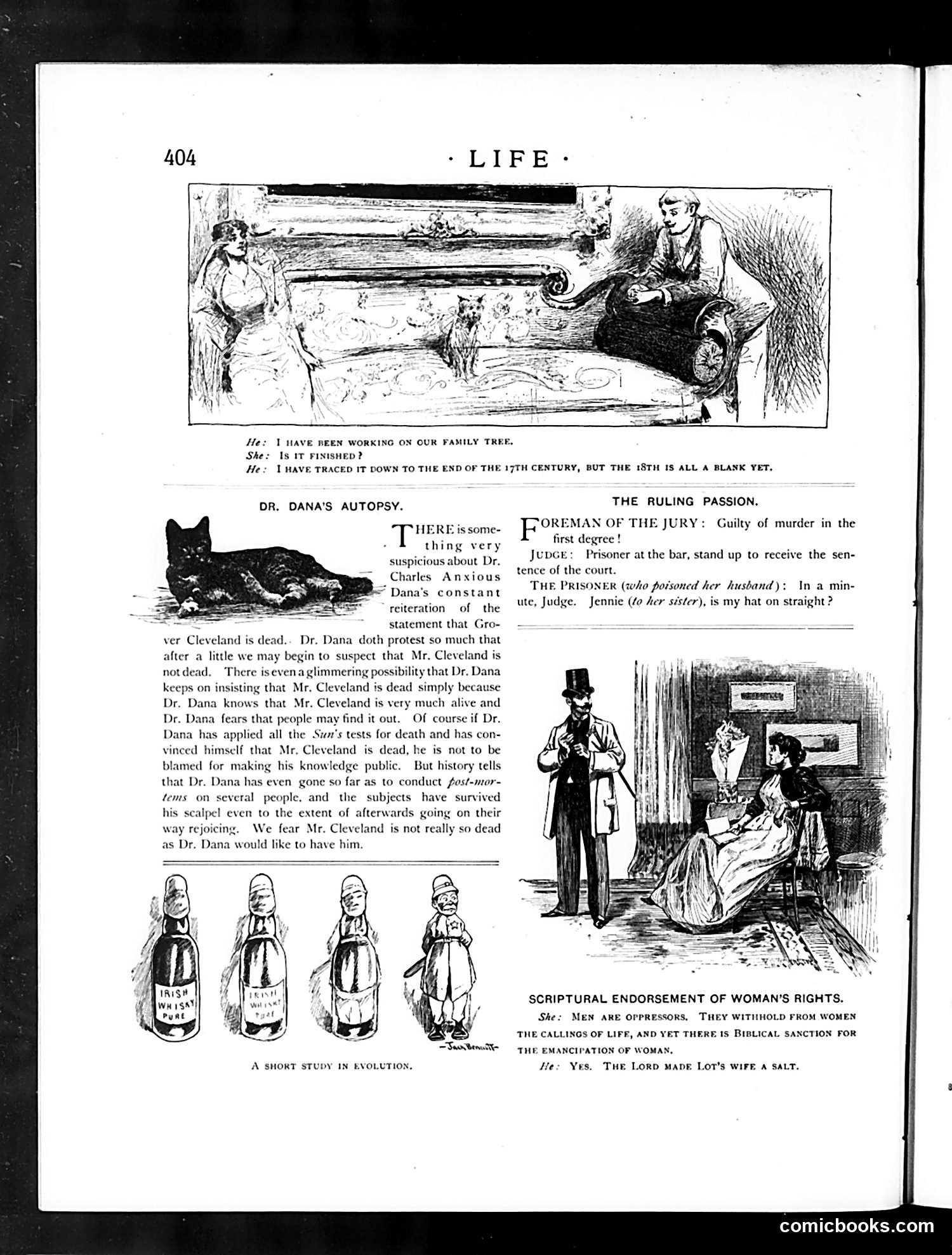 Life — June 25, 1891 — page 12 of 15