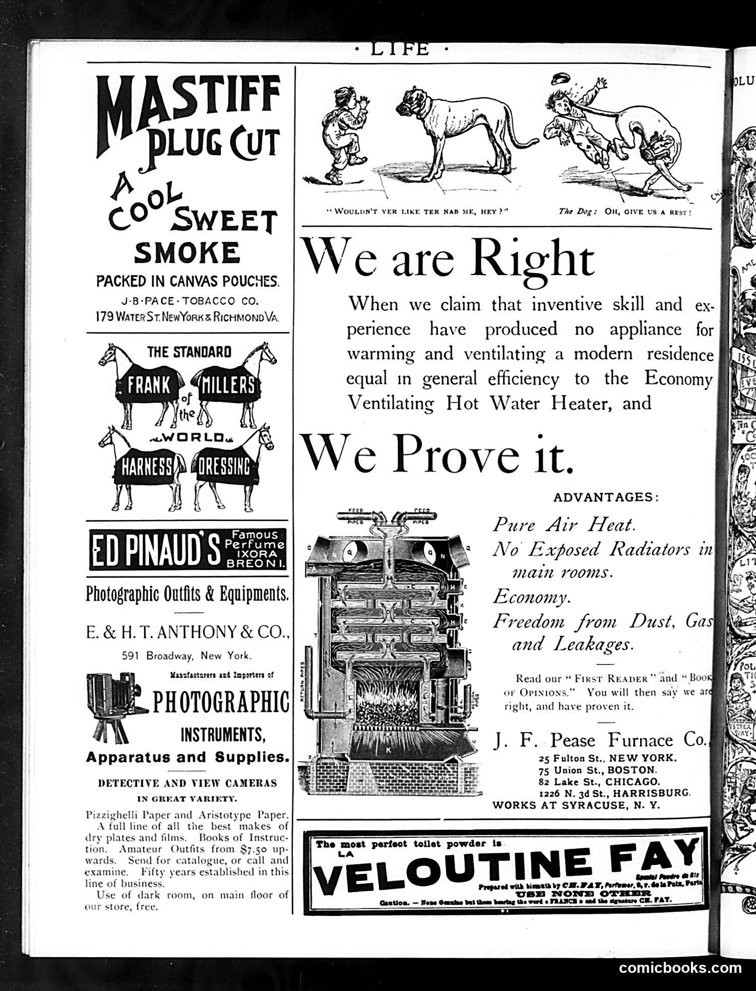 Life — July 2, 1891 — page 18 of 18