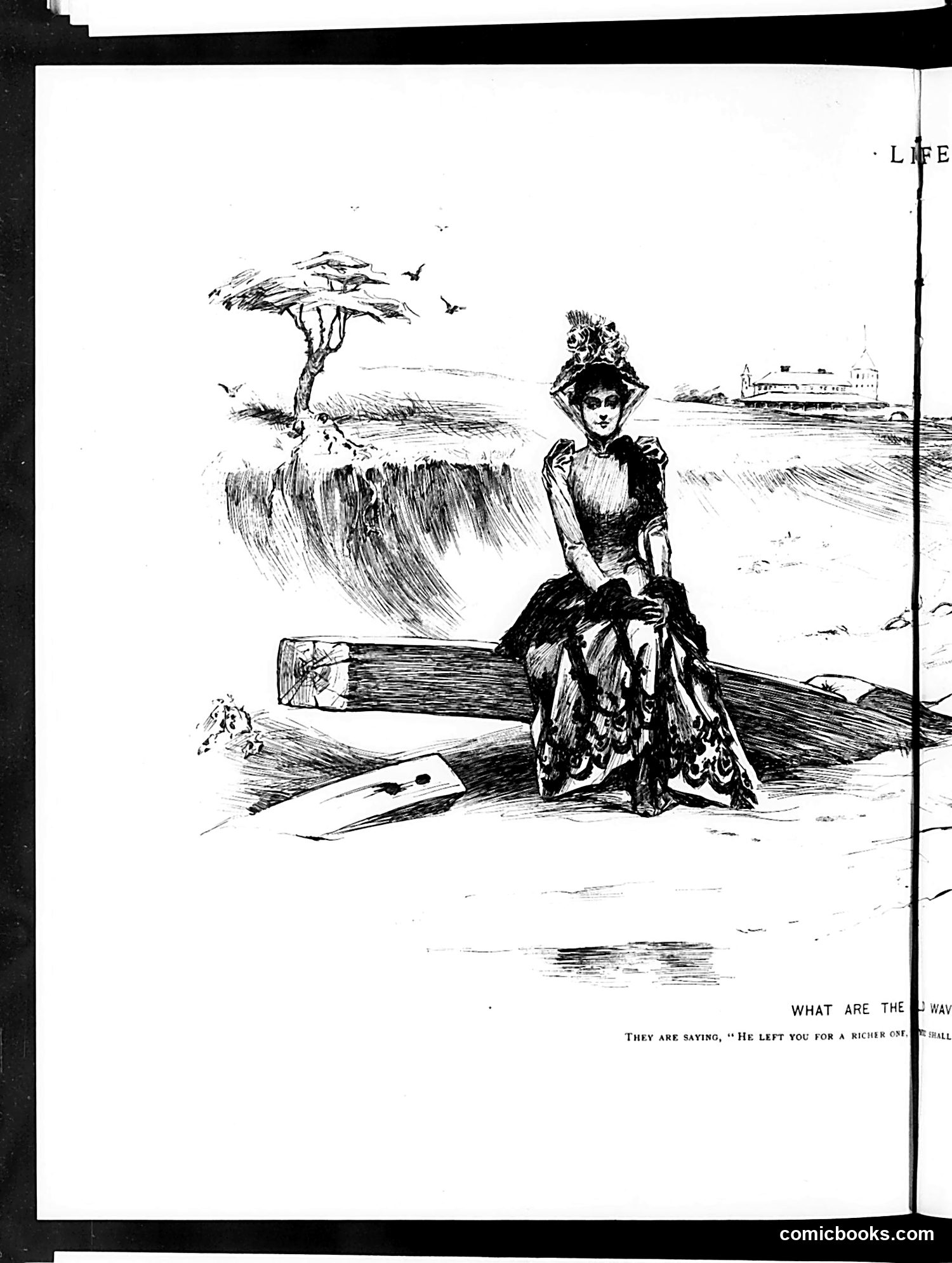 Life — July 16, 1891 — page 8 of 16