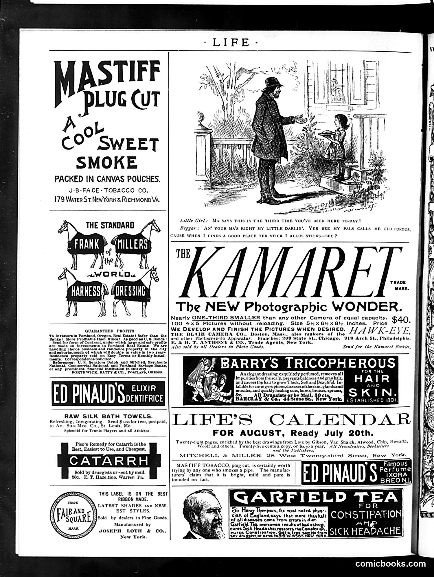 Life — July 16, 1891 — page 16 of 16