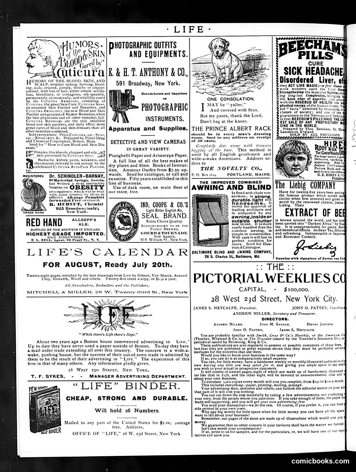 Life — July 23, 1891 — page 2 of 14