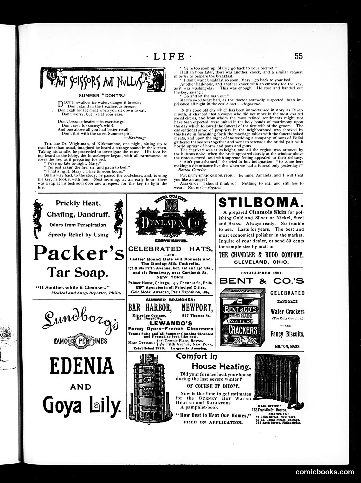Life — July 30, 1891 — page 13 of 14