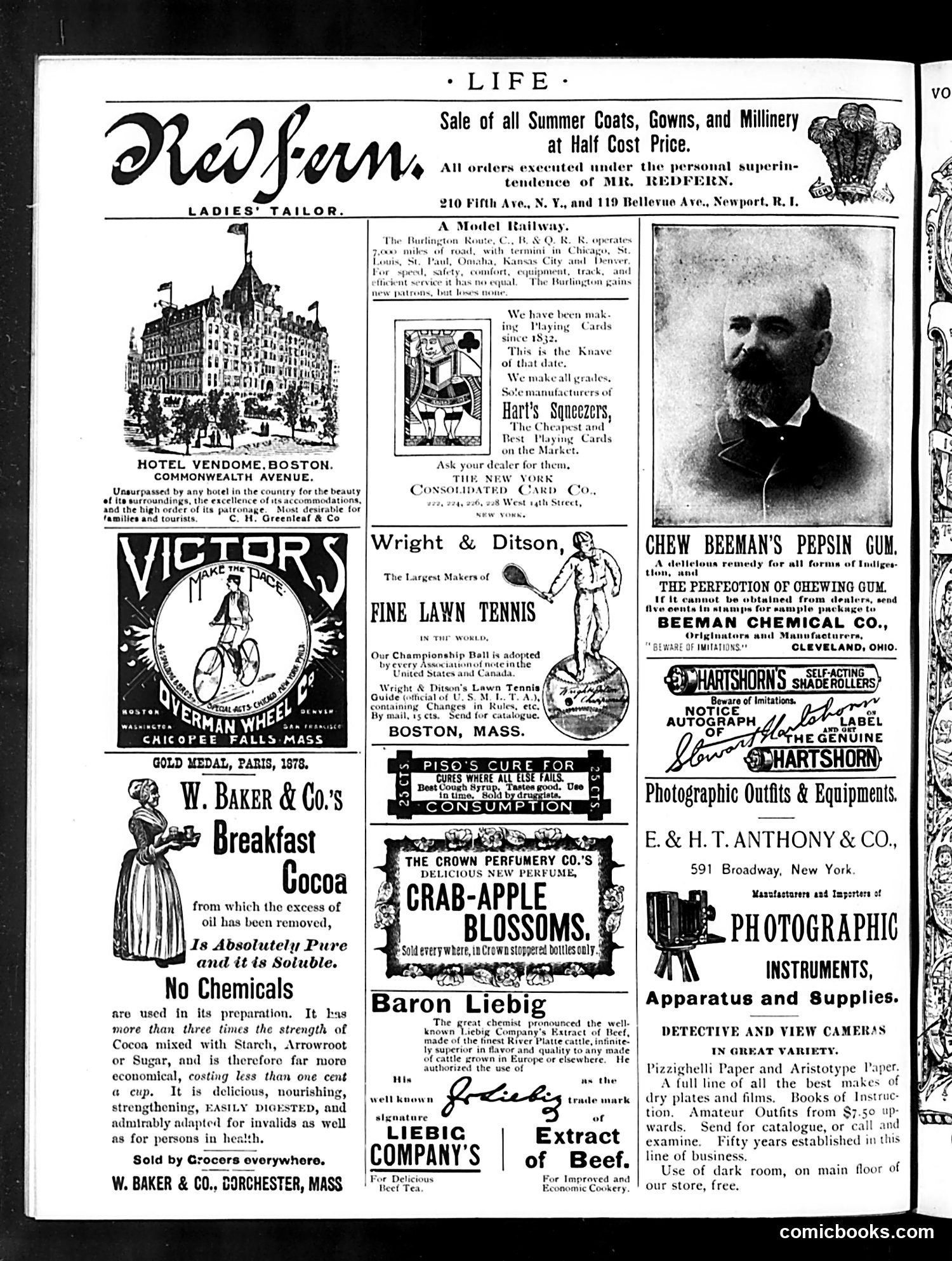 Life — August 6, 1891 — page 14 of 14