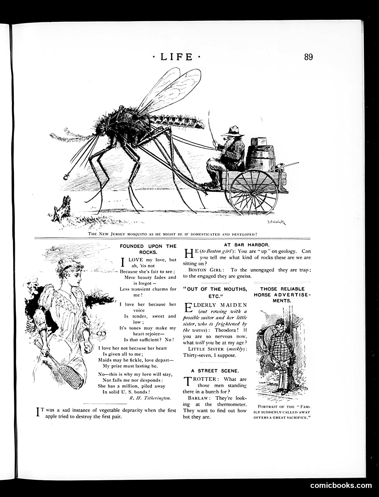 Life — August 20, 1891 — page 5 of 14